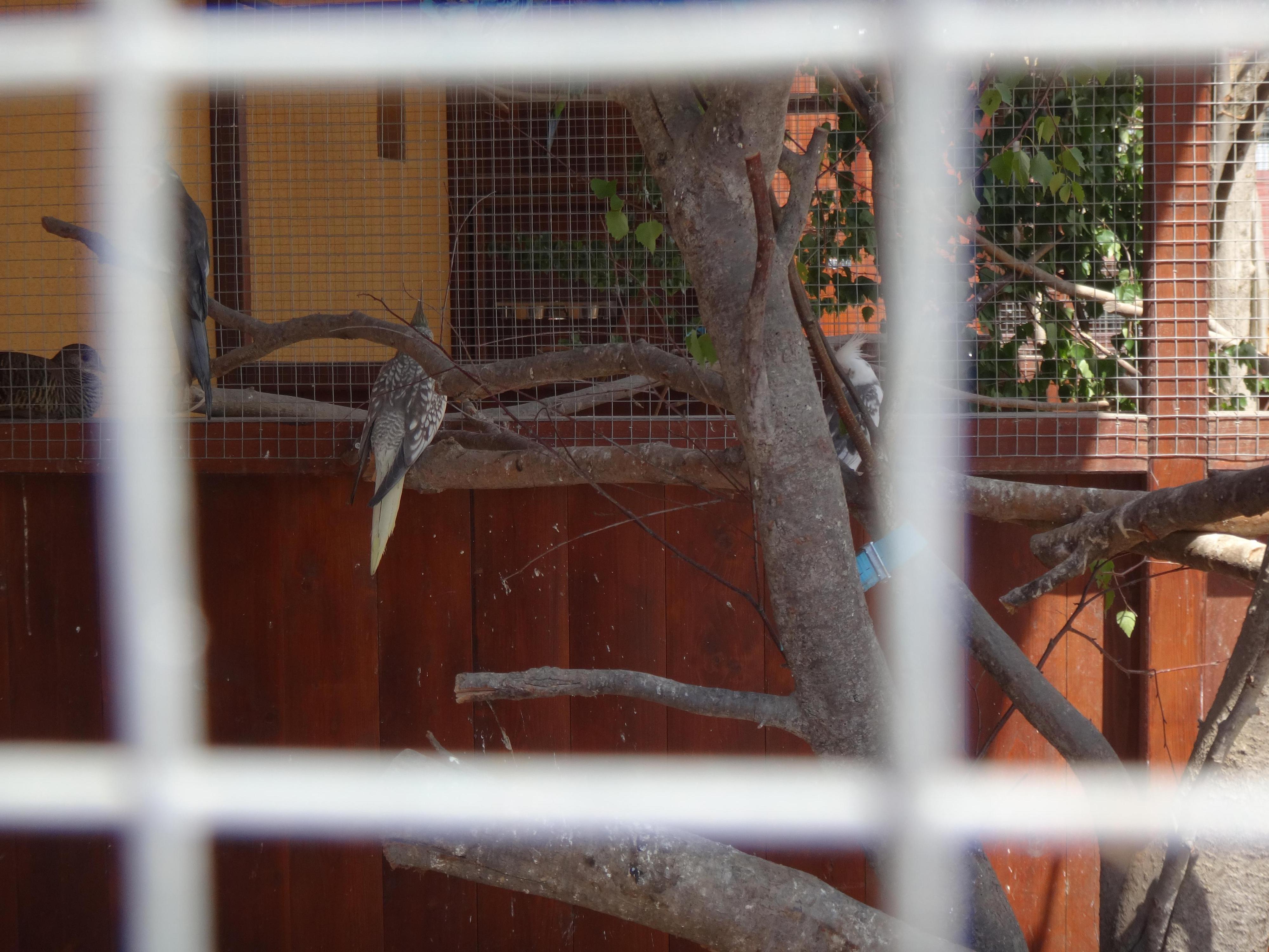 Dřevěná Exotika na ranči Bítovany foto 2