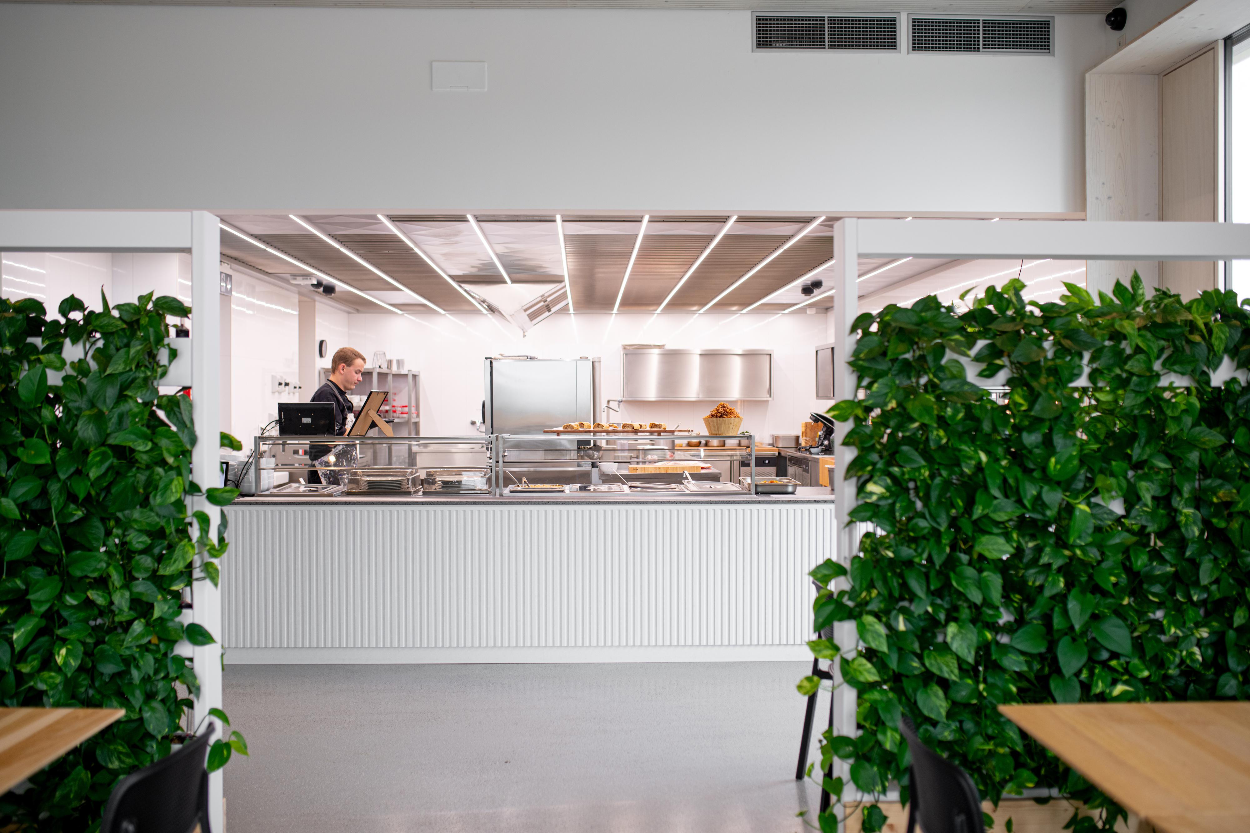 Berry Food - Bistro Budex foto 2