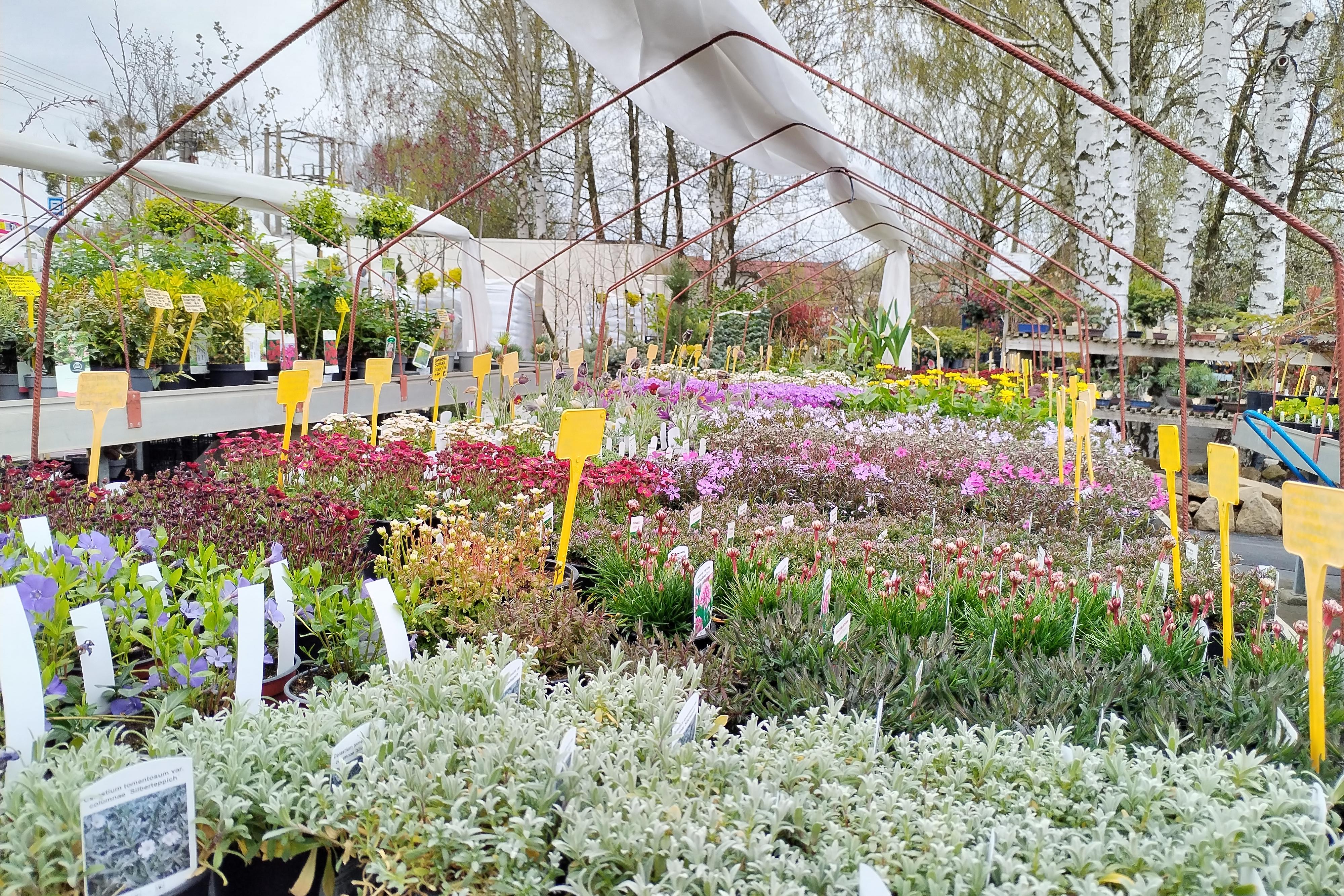 TRVALKY DO VAŠICH ZAHRAD