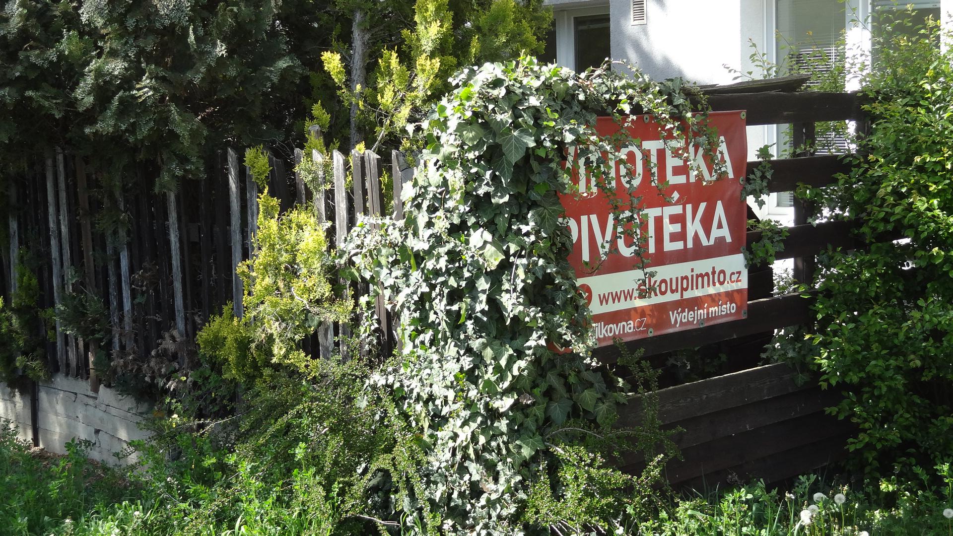 Vinotéka Čejkovická foto 2