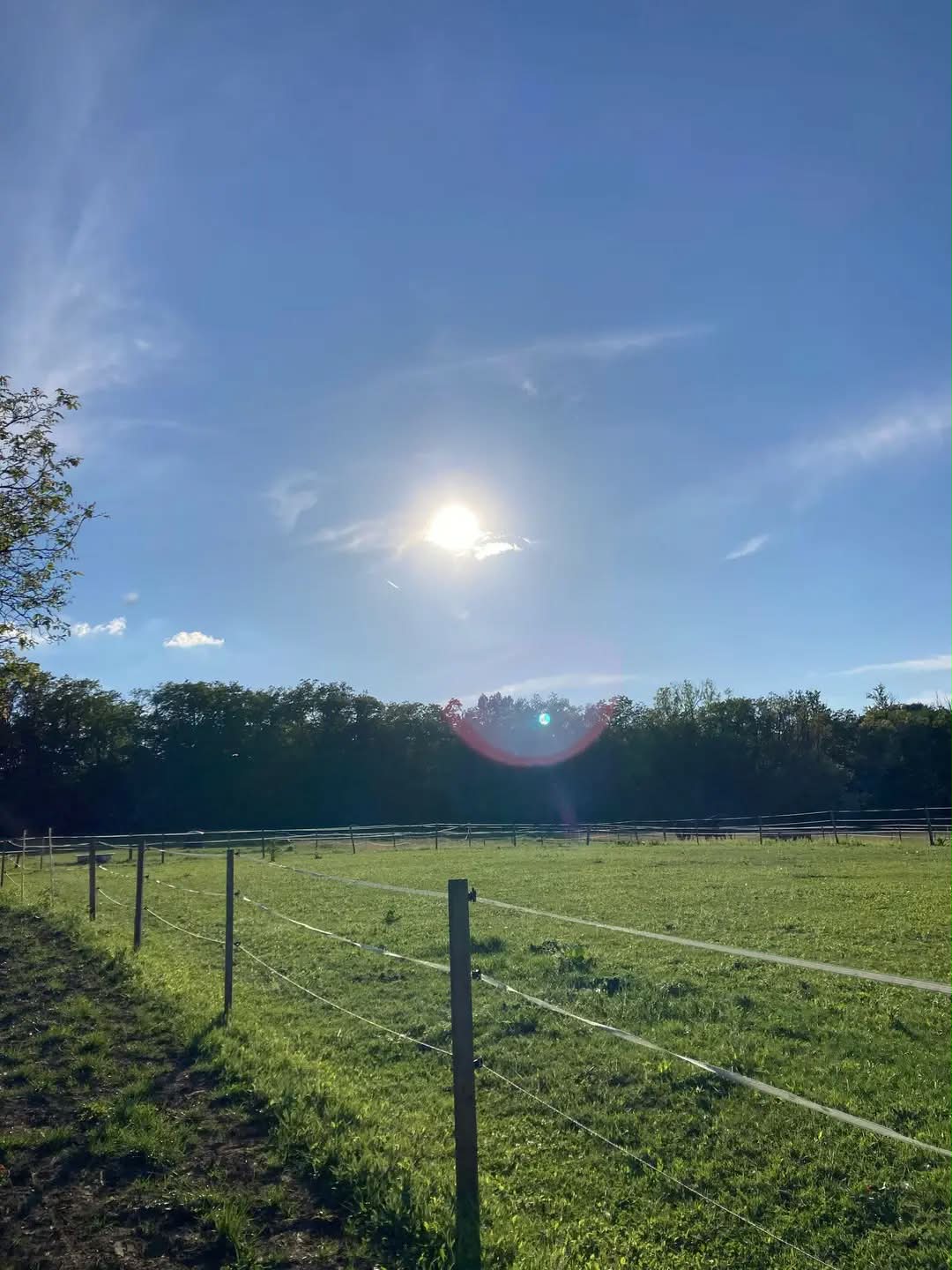 Dobrá stáj Želešice foto 3