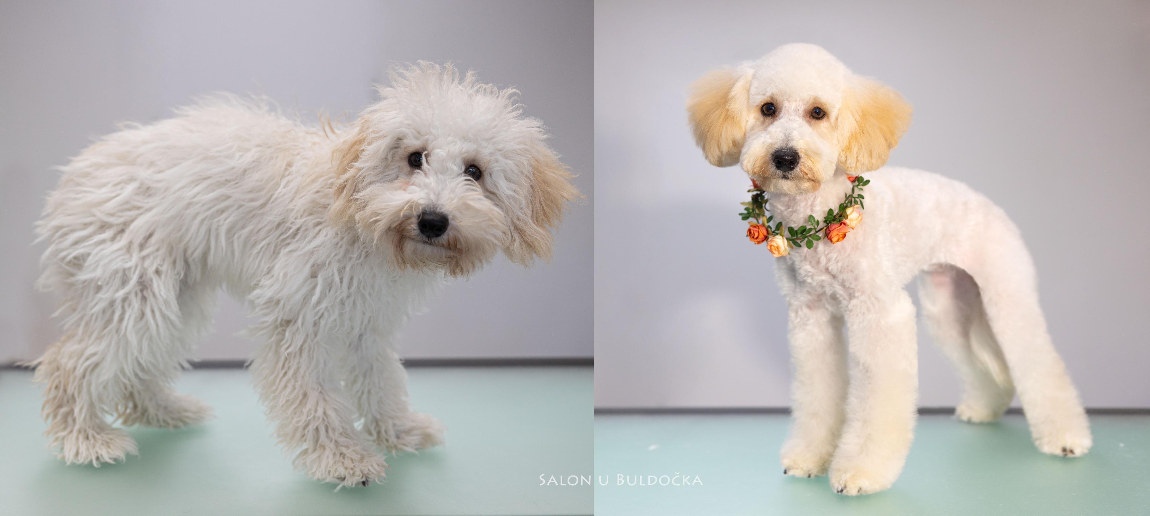 Salon U Buldočka foto 5