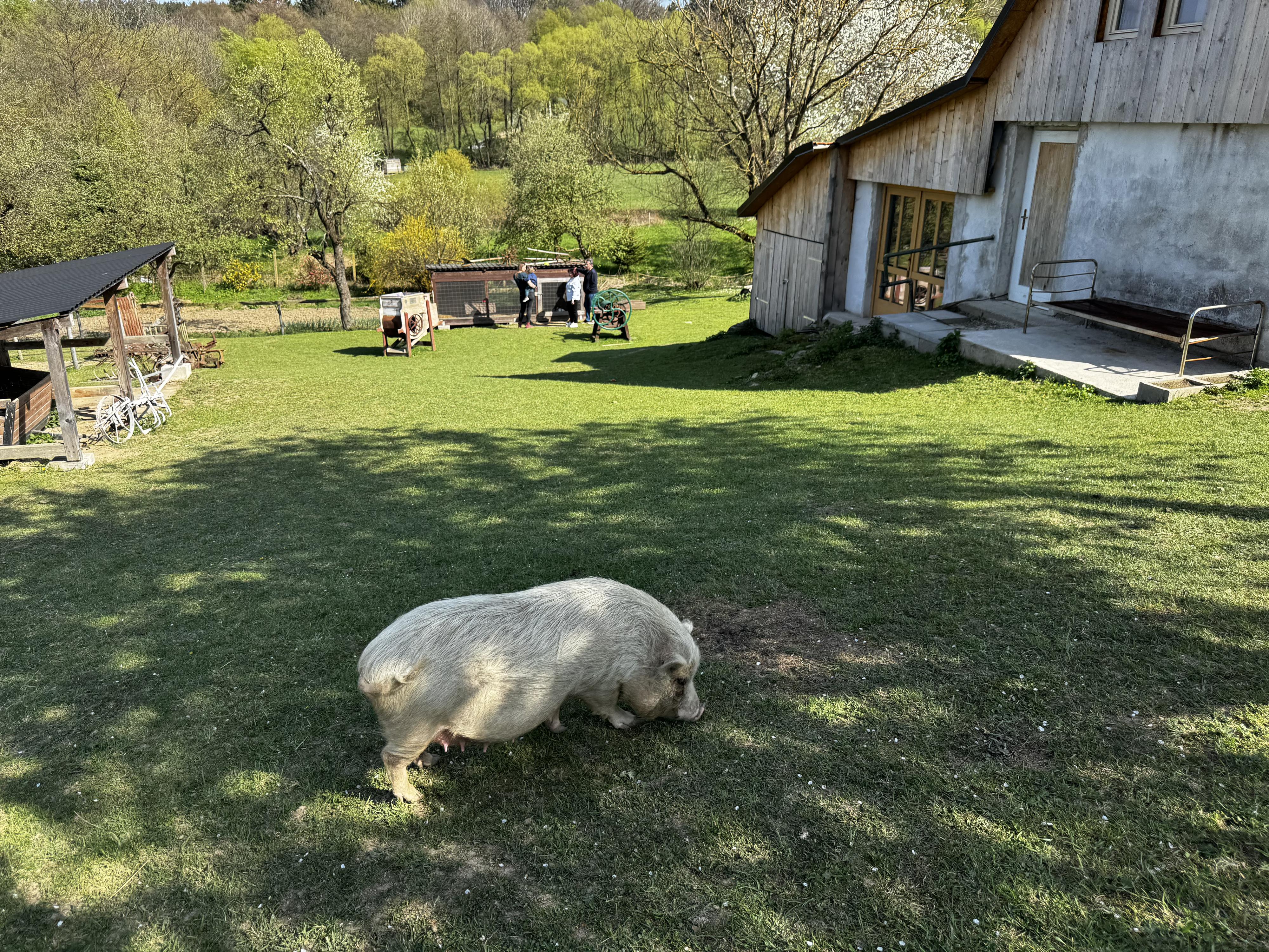 Na Mlýně foto 4