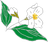 logo Petra Janoušková