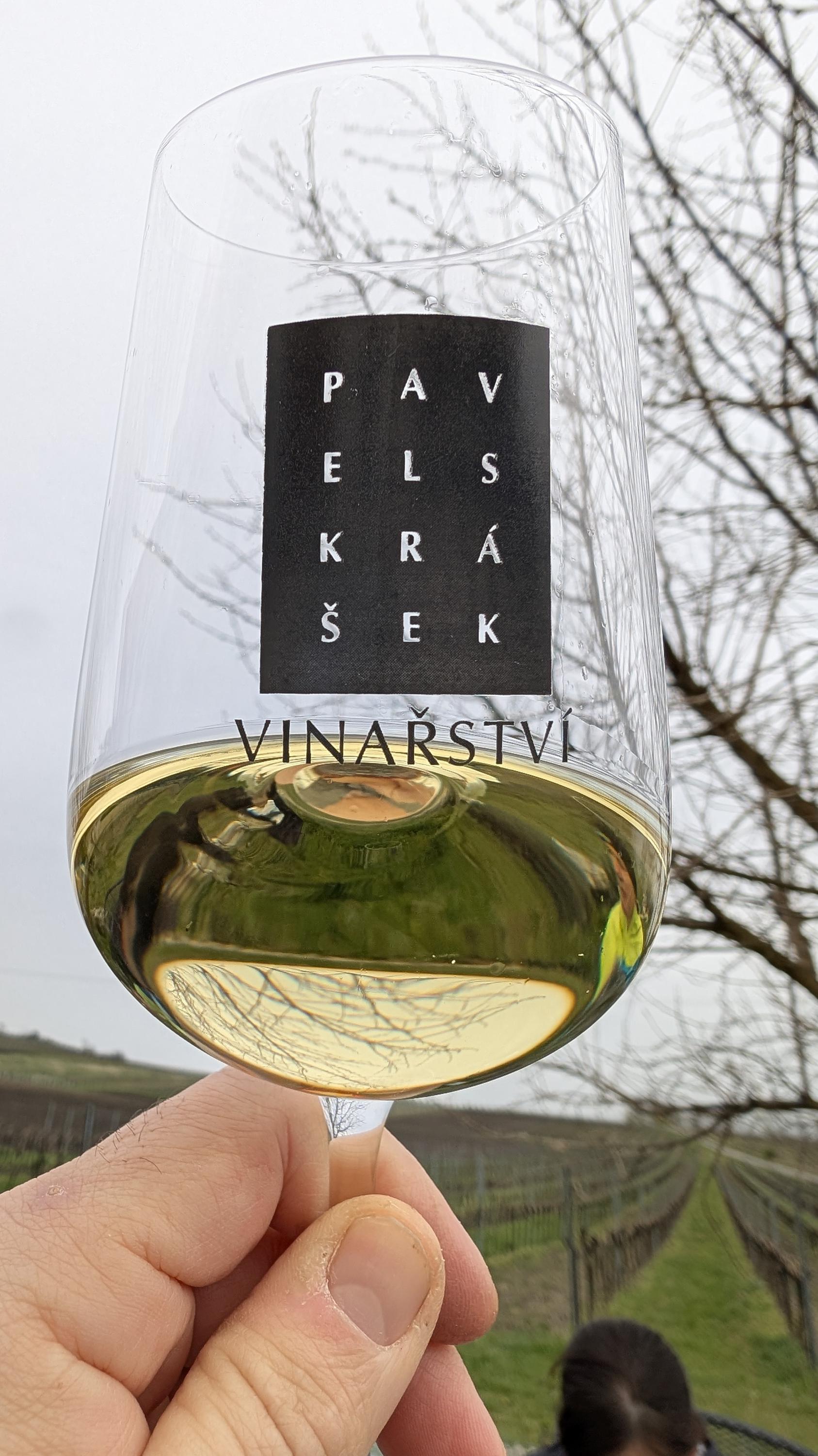 Vinařství Perná foto 3