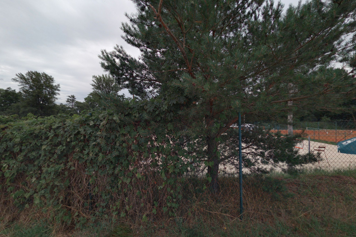 Beach volejbal - Areál Zdraví