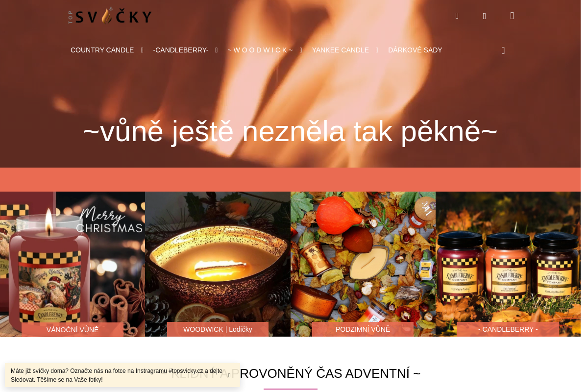 Topsvicky.cz