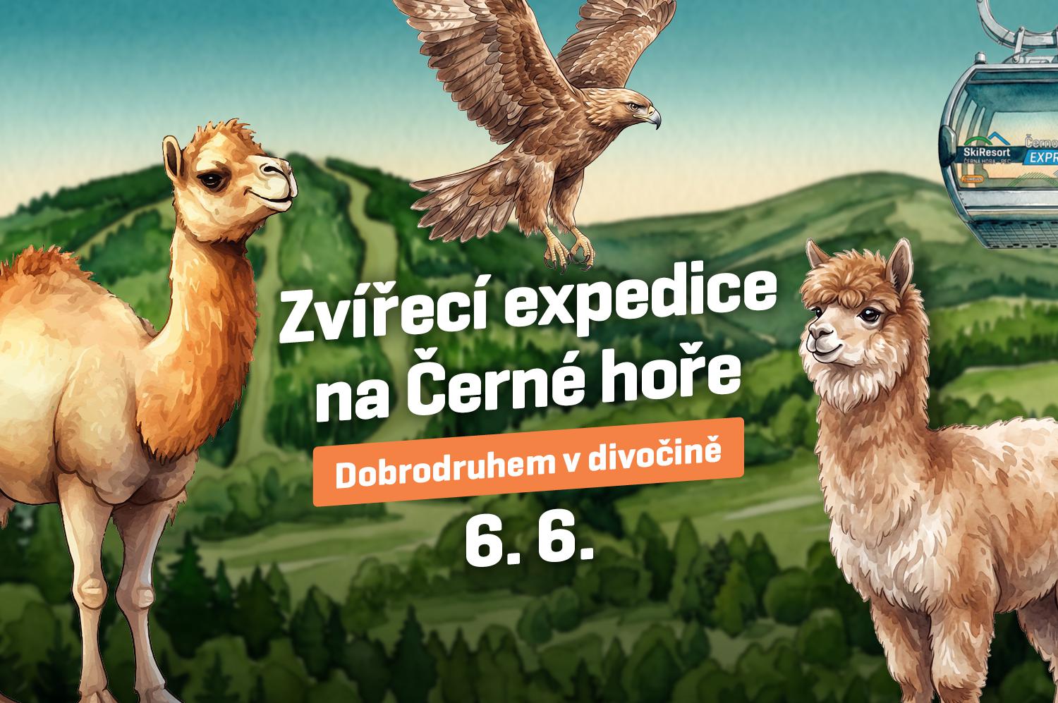 Zvířecí expedice na Černé hoře