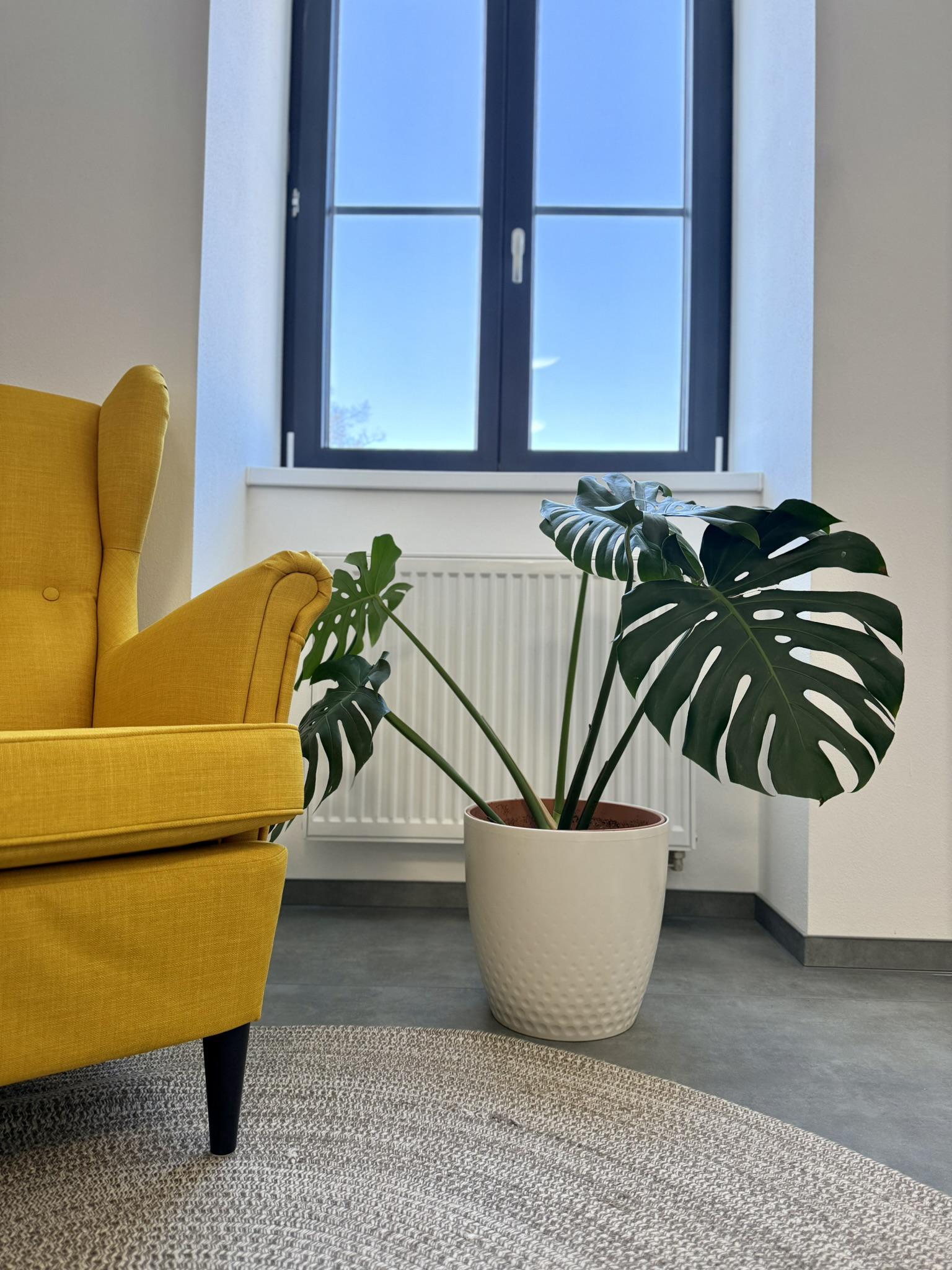 Penzion Klas foto 6