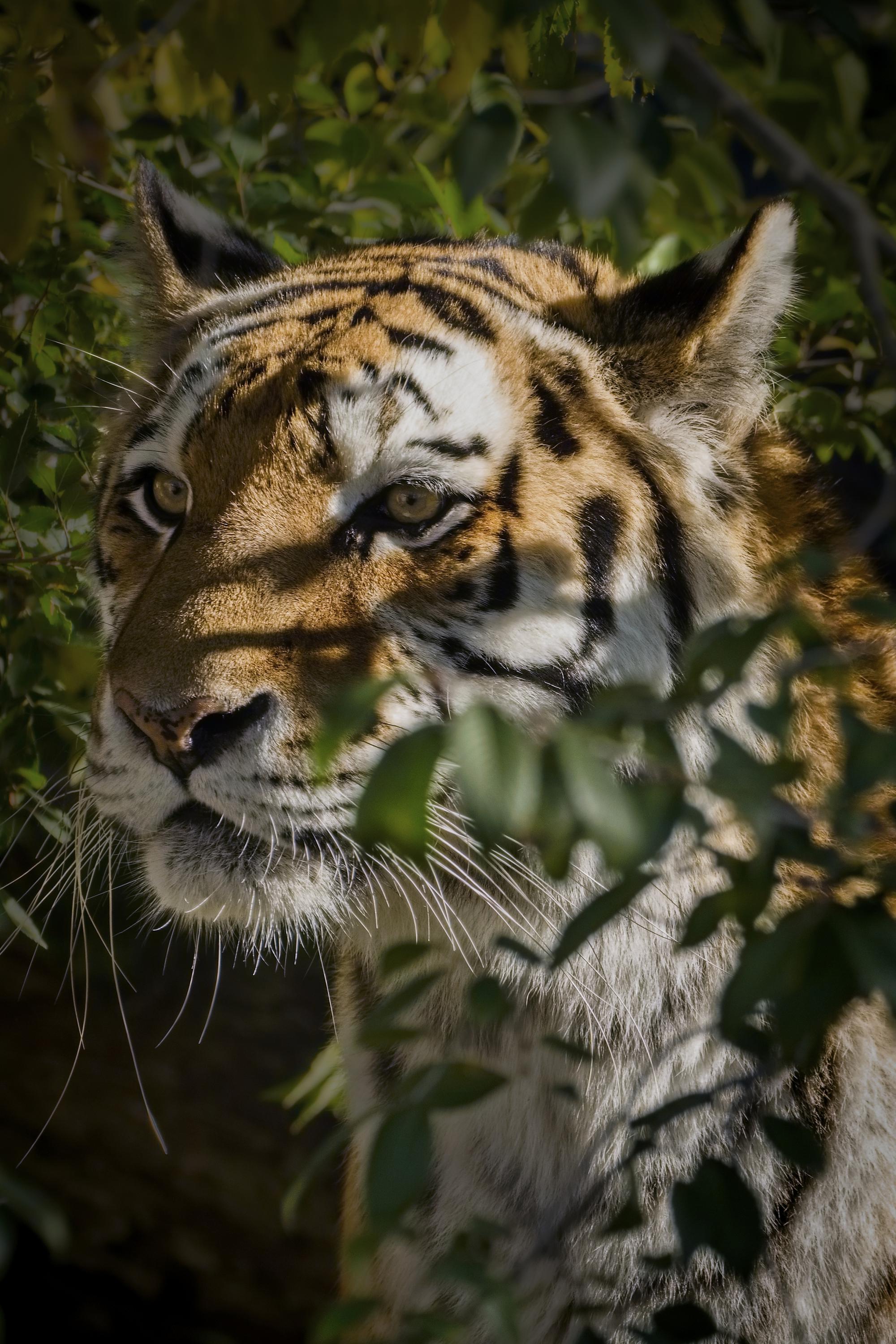 Jihočeská zoologická zahrada Hluboká nad Vltavou foto 6