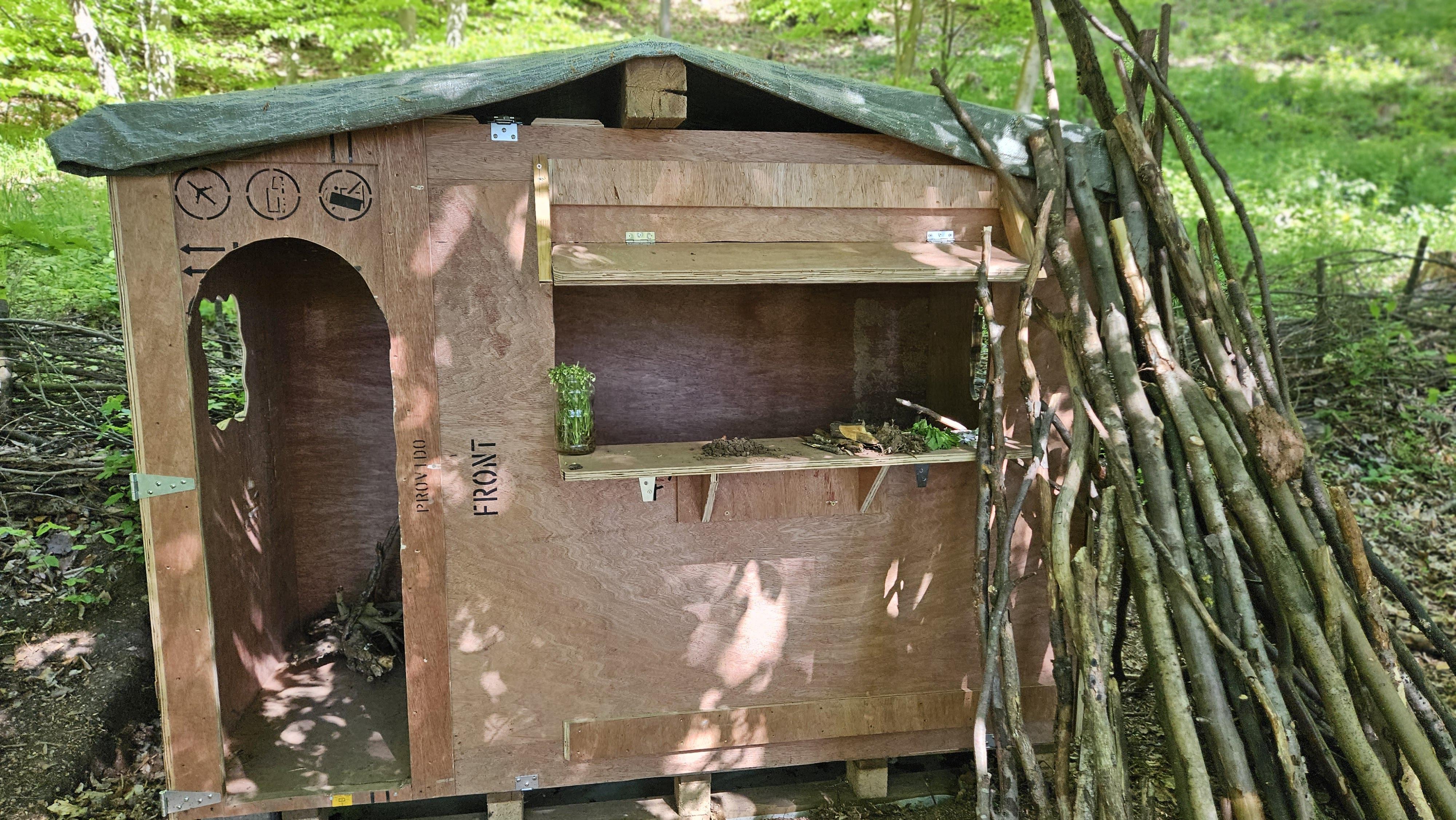 Lesní mateřská škola Lesinka foto 6