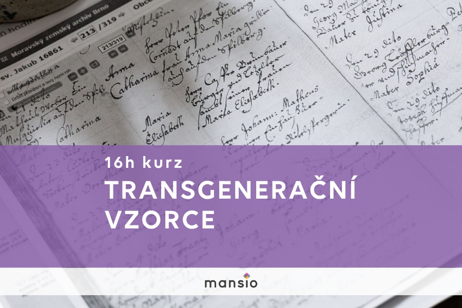 Transgenerační vzorce | kurz pro praxi