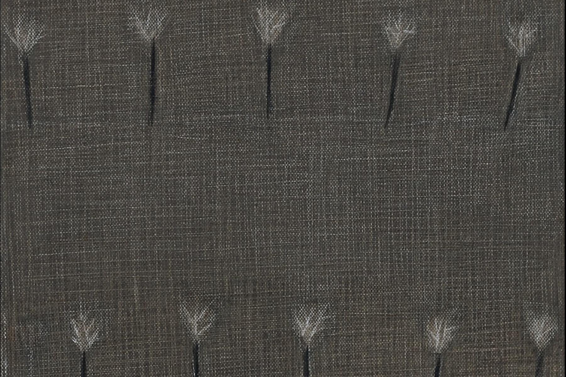 Anežka Kovalová 10. 4. 2026