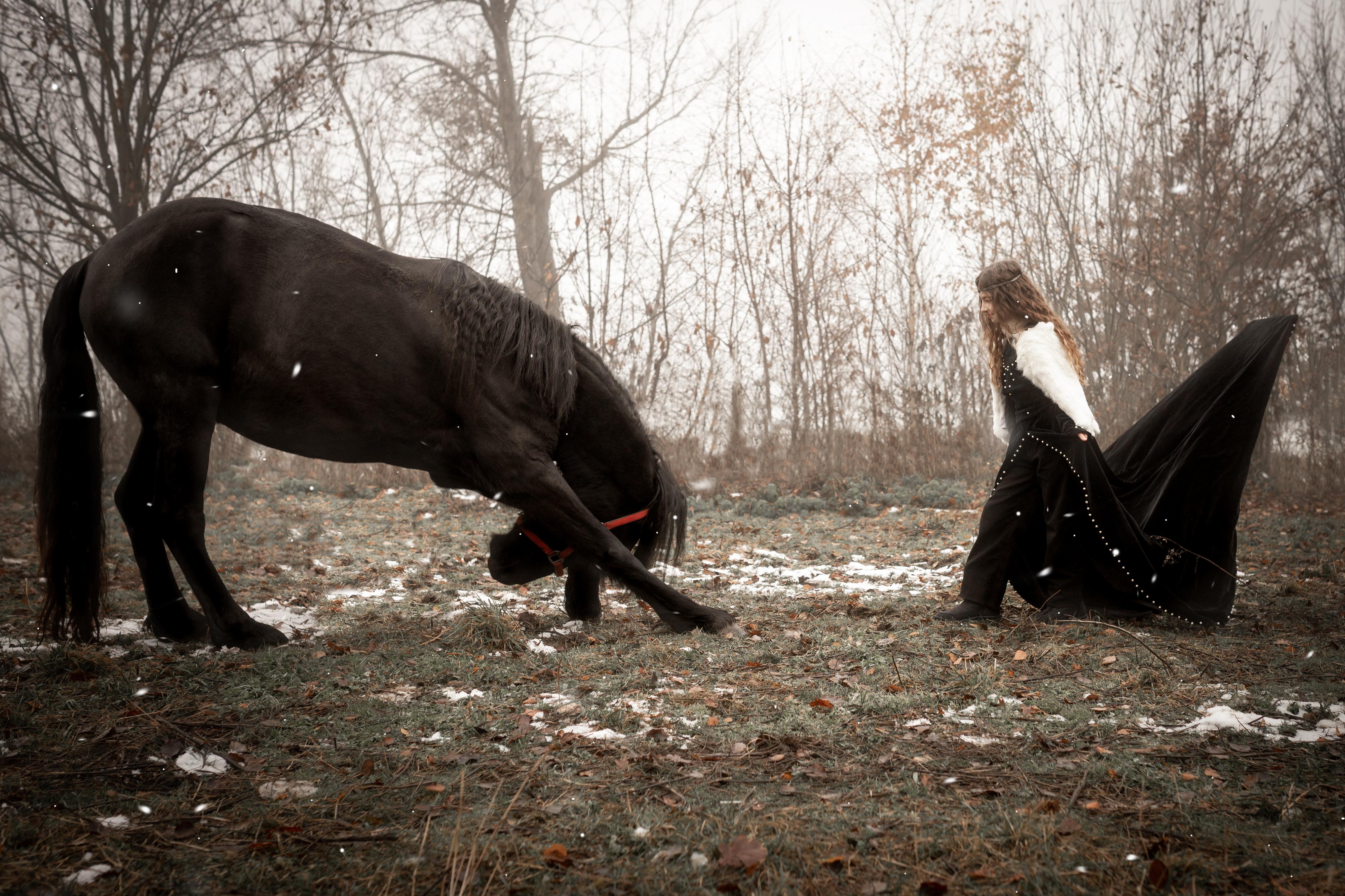 Ranč malých kovbojů foto 6