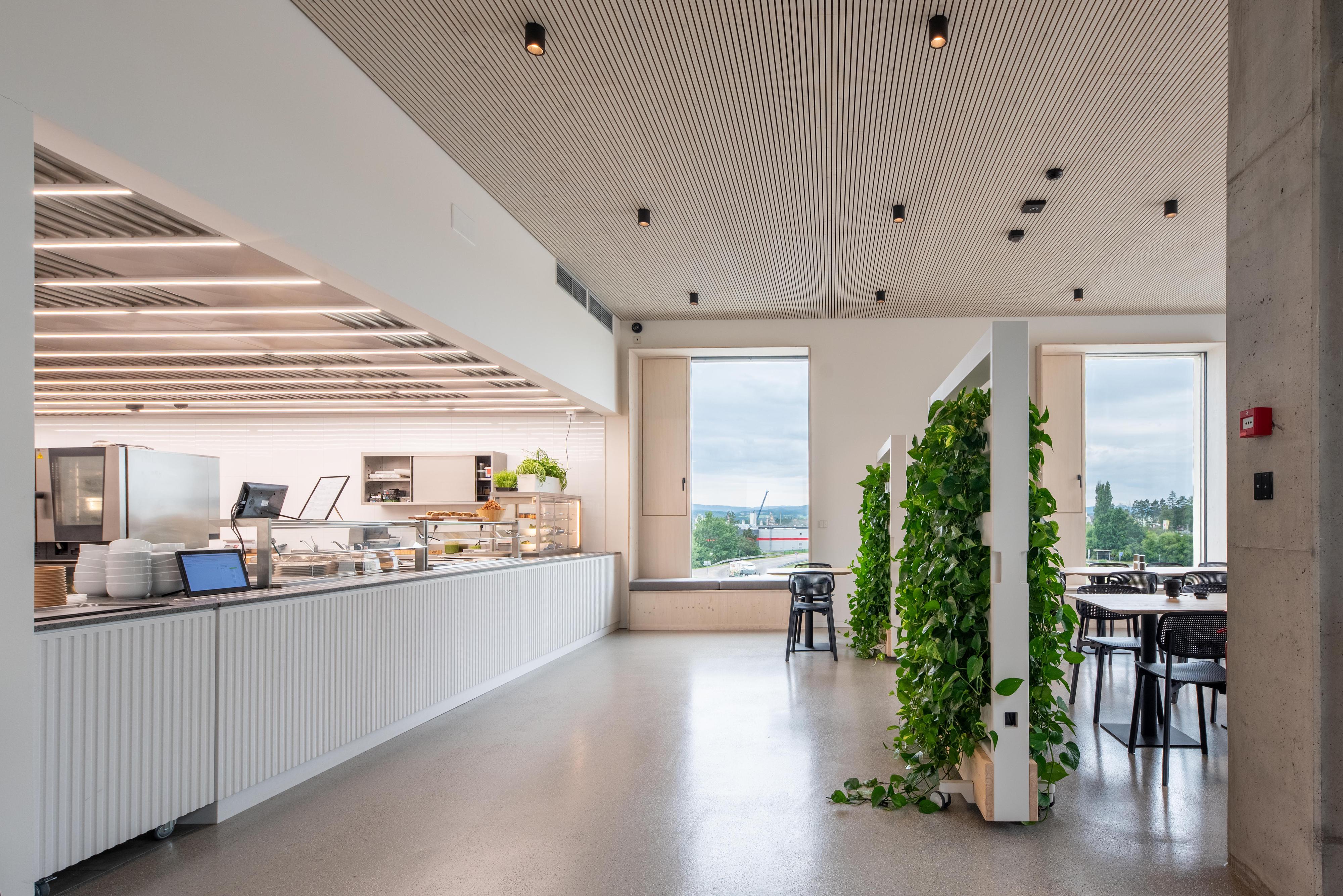 Berry Food - Bistro Budex foto 4