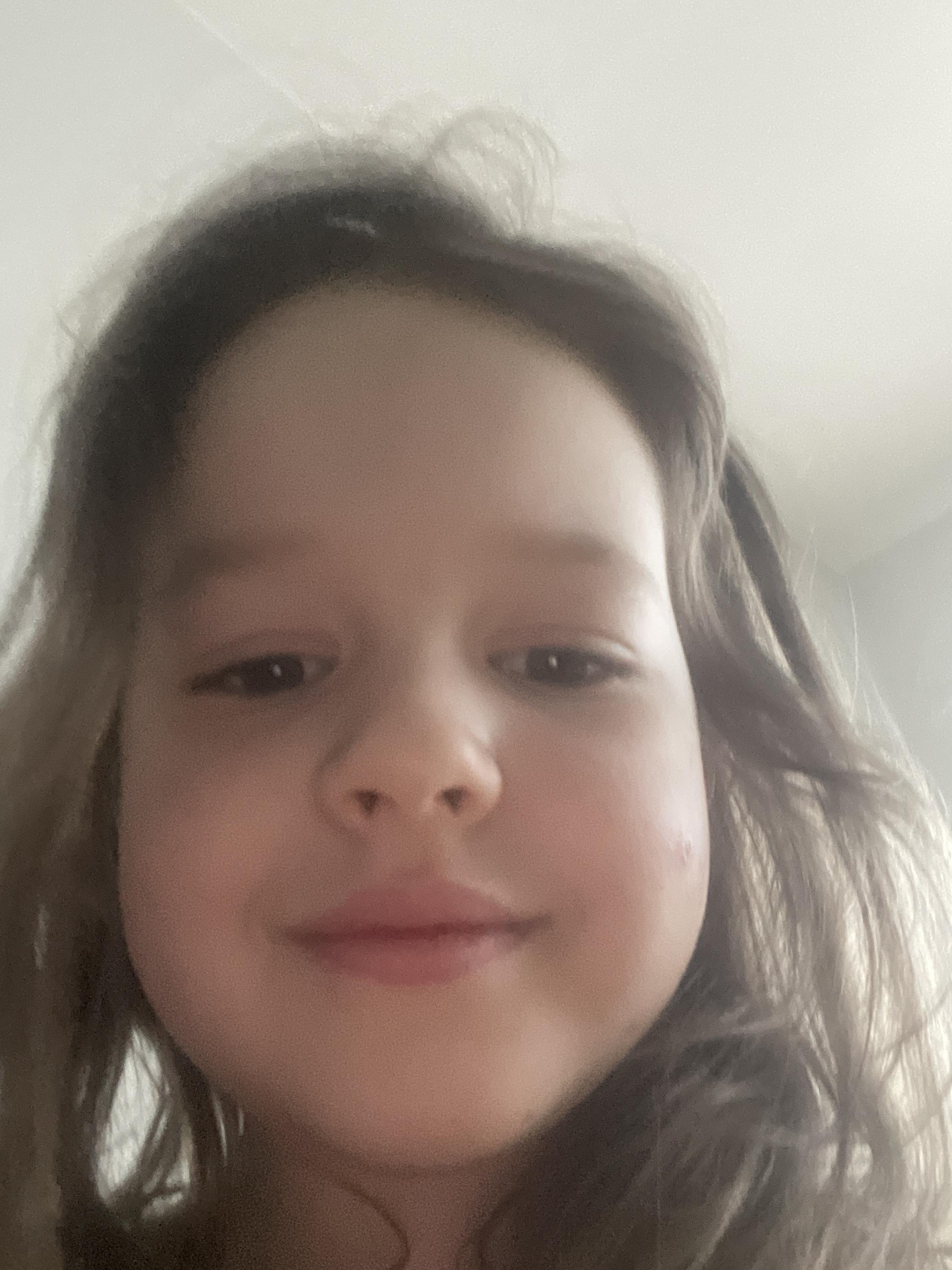 MŠ Jestřabí foto 5
