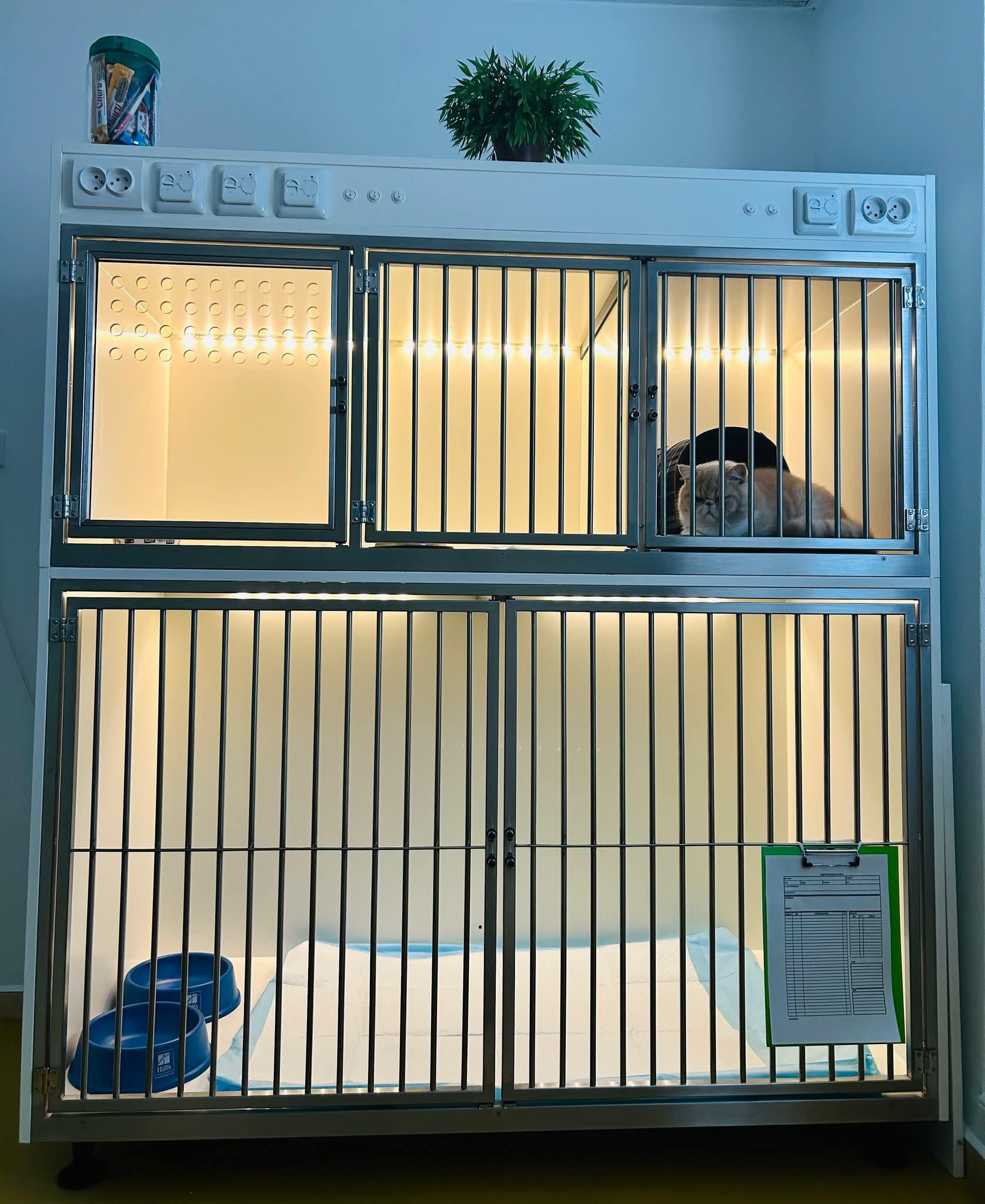 MVDr. Jana Řezníčková Látalová foto 5