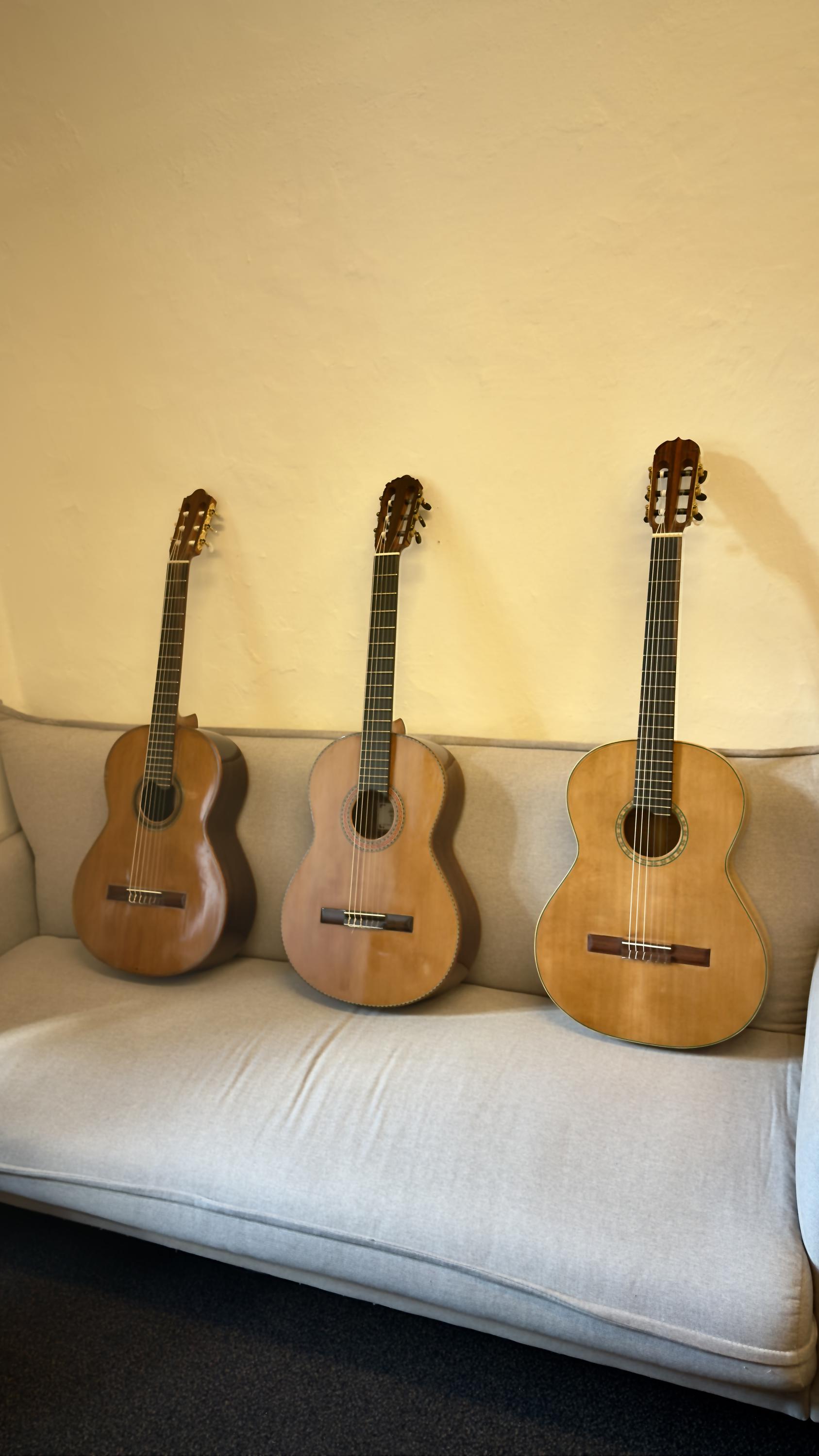 Trvaj Guitars foto 1