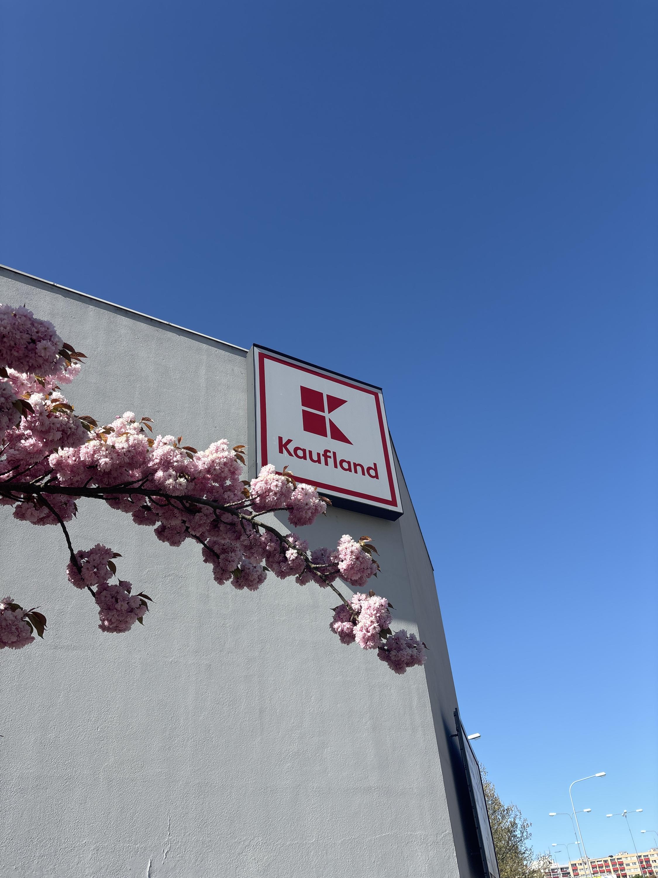Kaufland foto 6