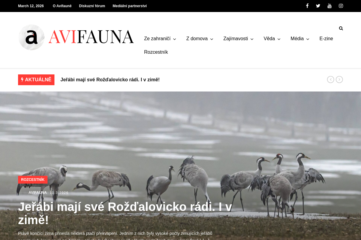 Avifauna.cz