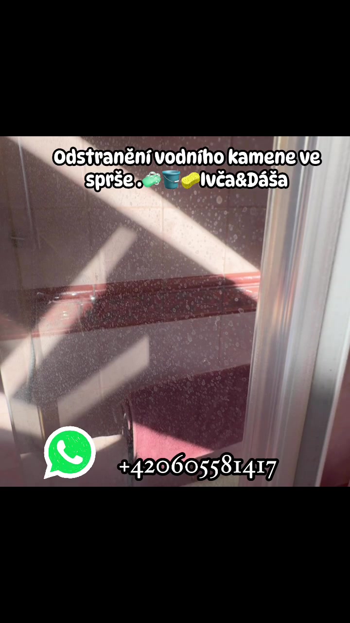 Úklidovka Ivča foto 2 (náhled videa)