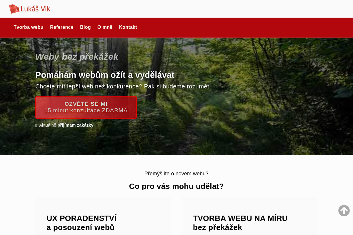 Lukáš Vik