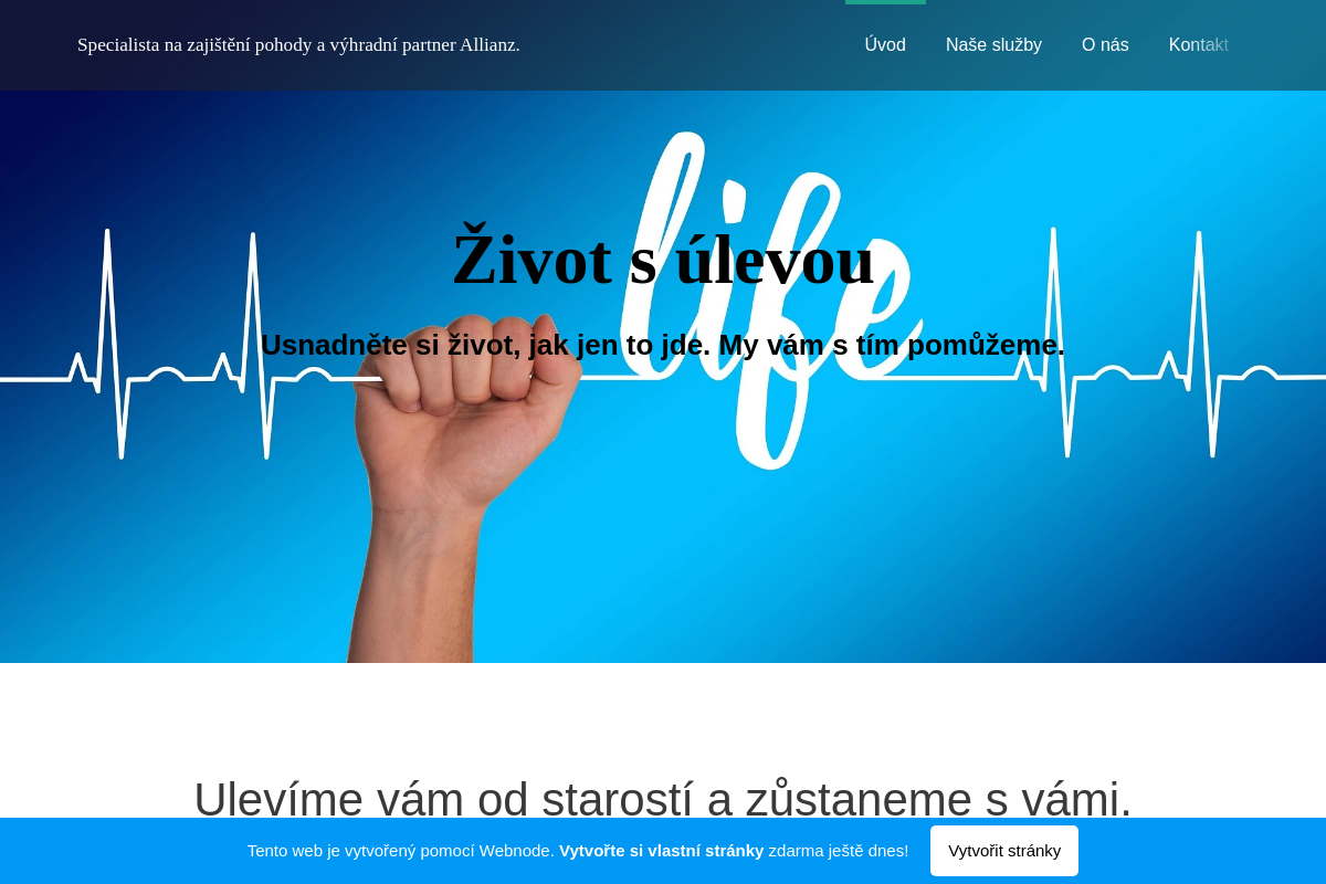 Kateřina Kitlerová, Allianz finanční služby