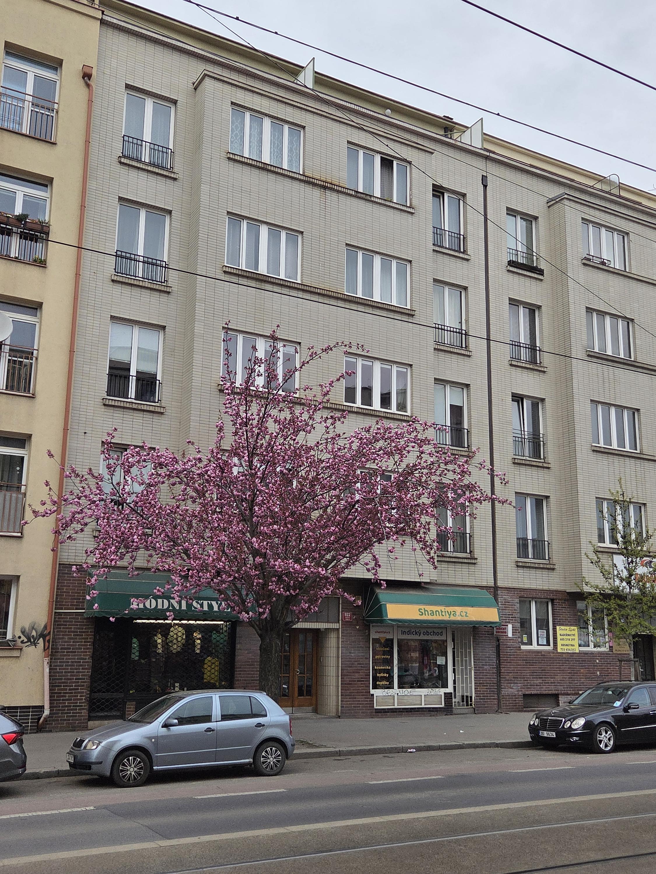 Shantiya.cz foto 3