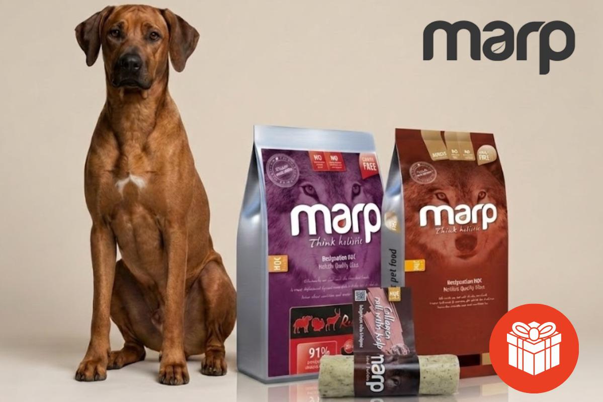 Velká balení Marp holistic za skvělou cenu + dárek