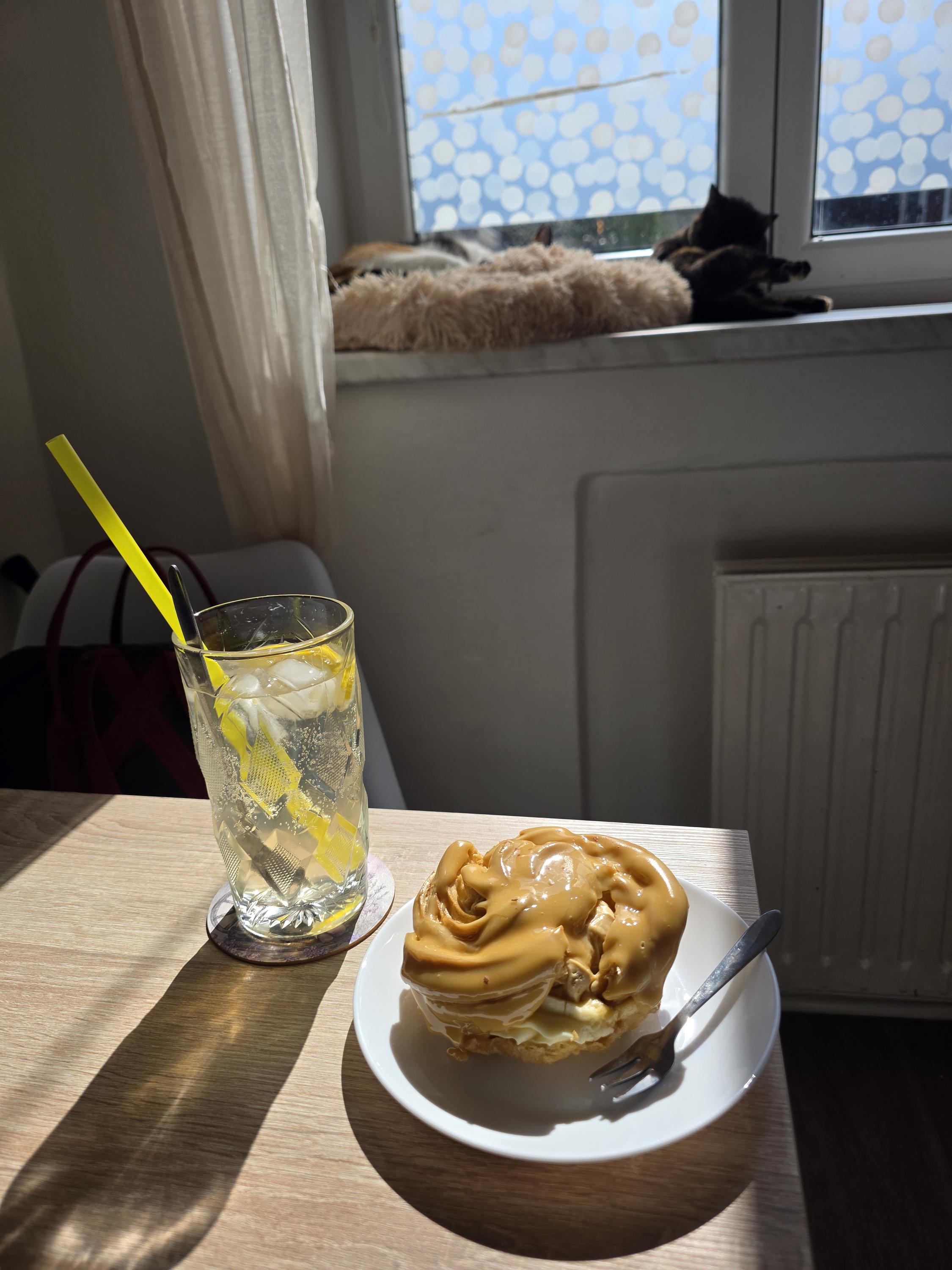Mňaucaffé Sindy foto 2