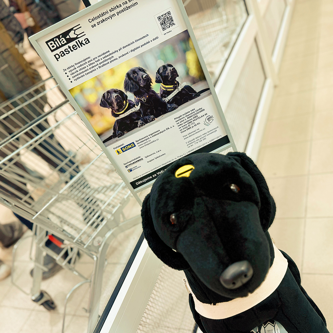 Oxa Optik s.r.o. foto 4