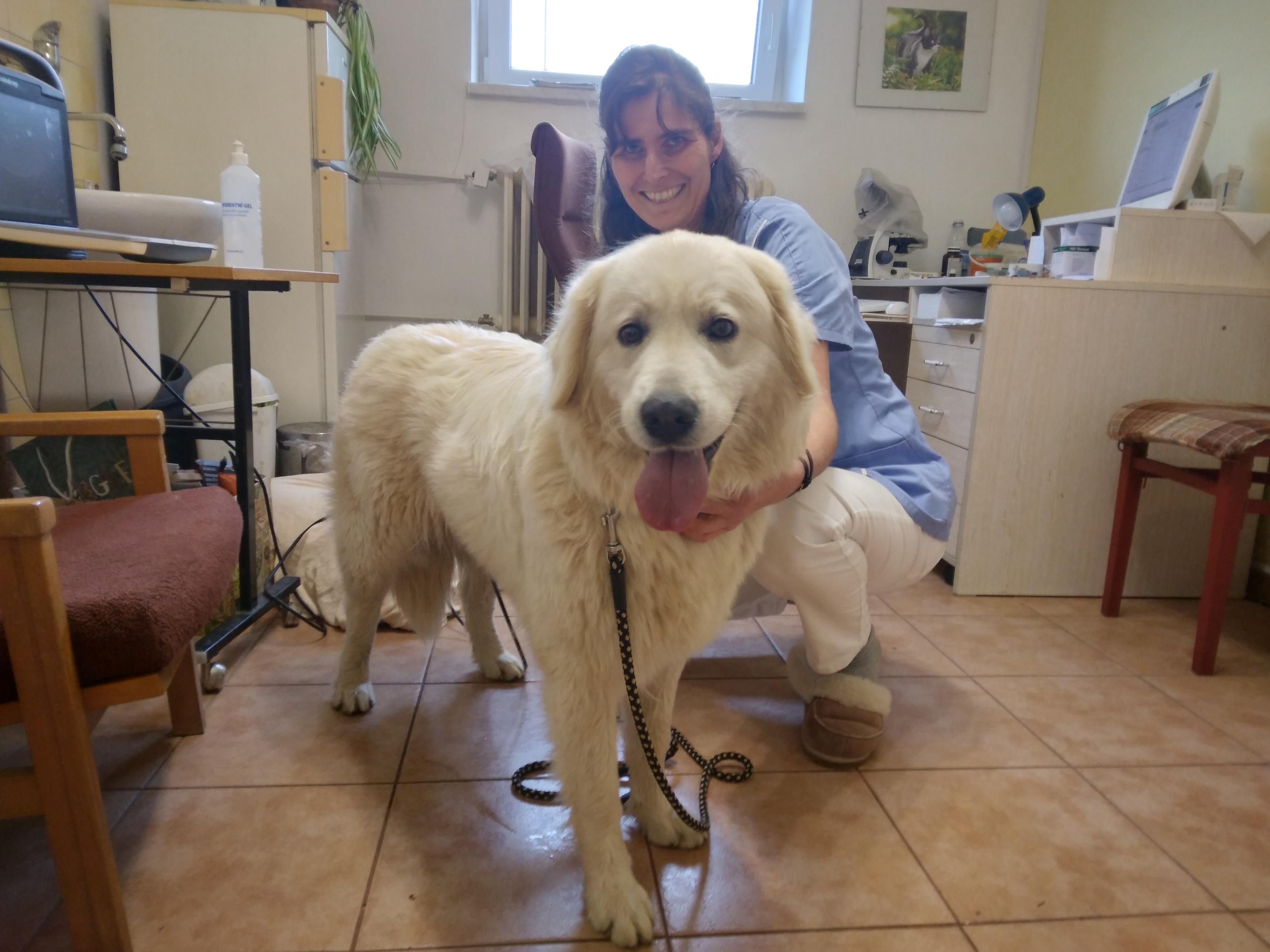 Veterina Sezemice - MVDr. Pavla Marešová foto 4