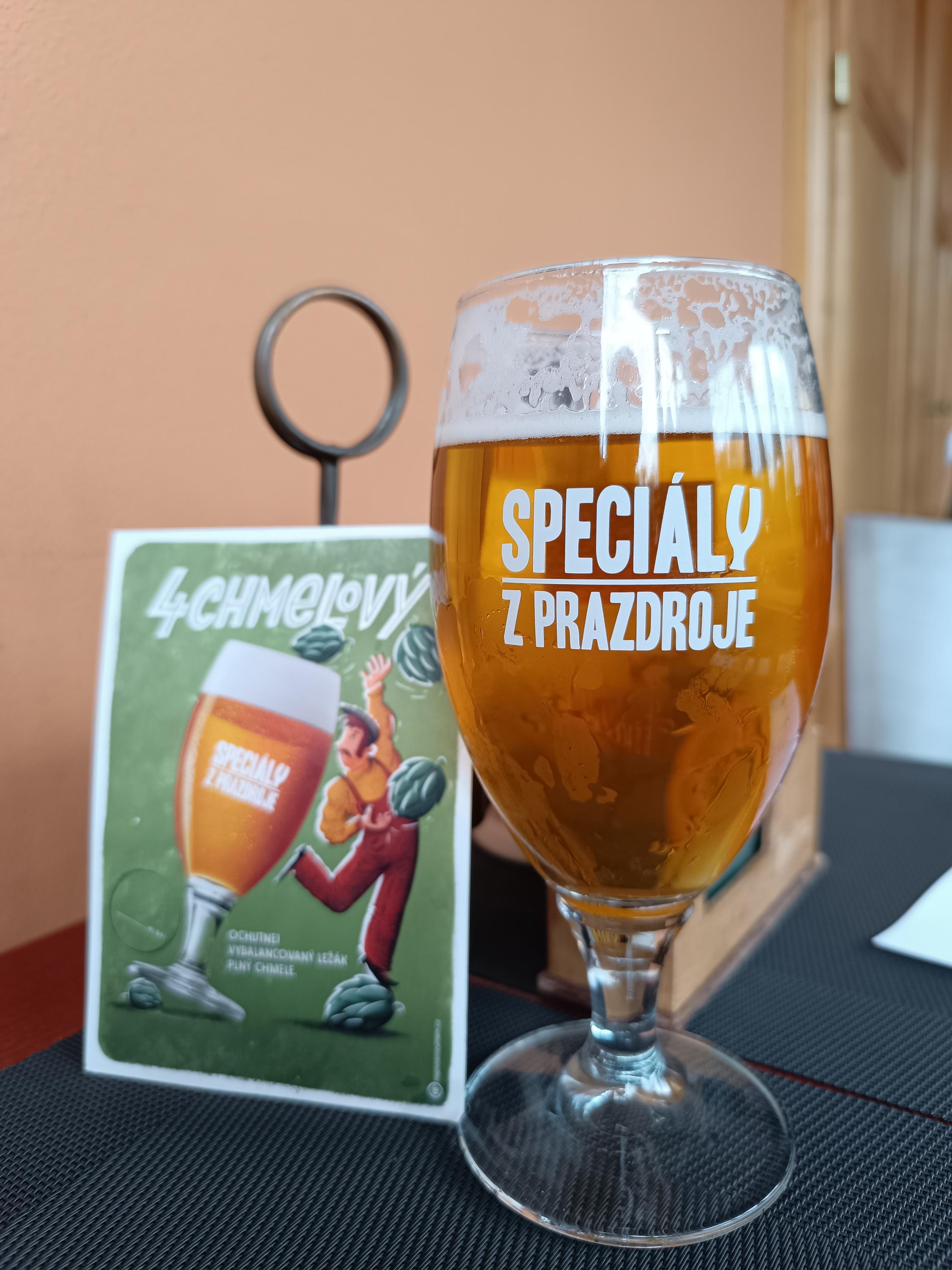 Restaurace U labutě foto 6