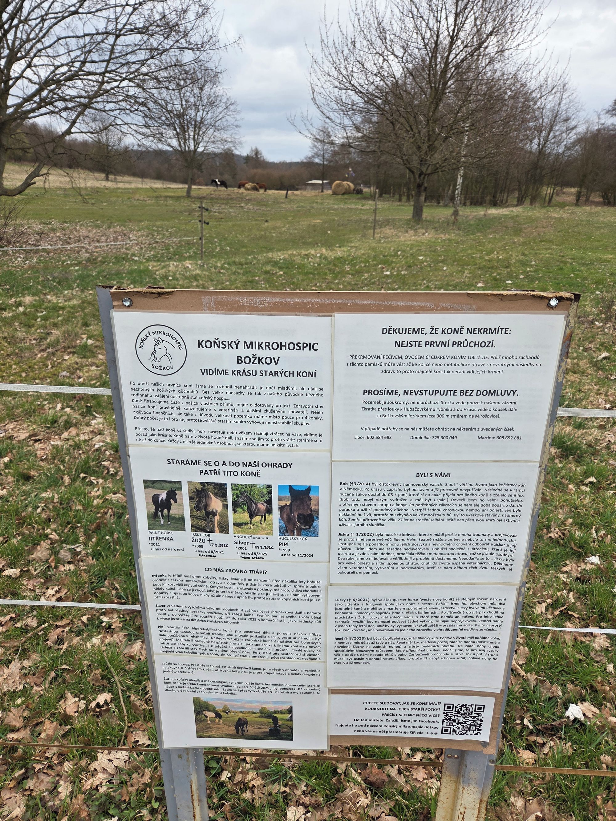 Koňský mikrohospic Božkov foto 2