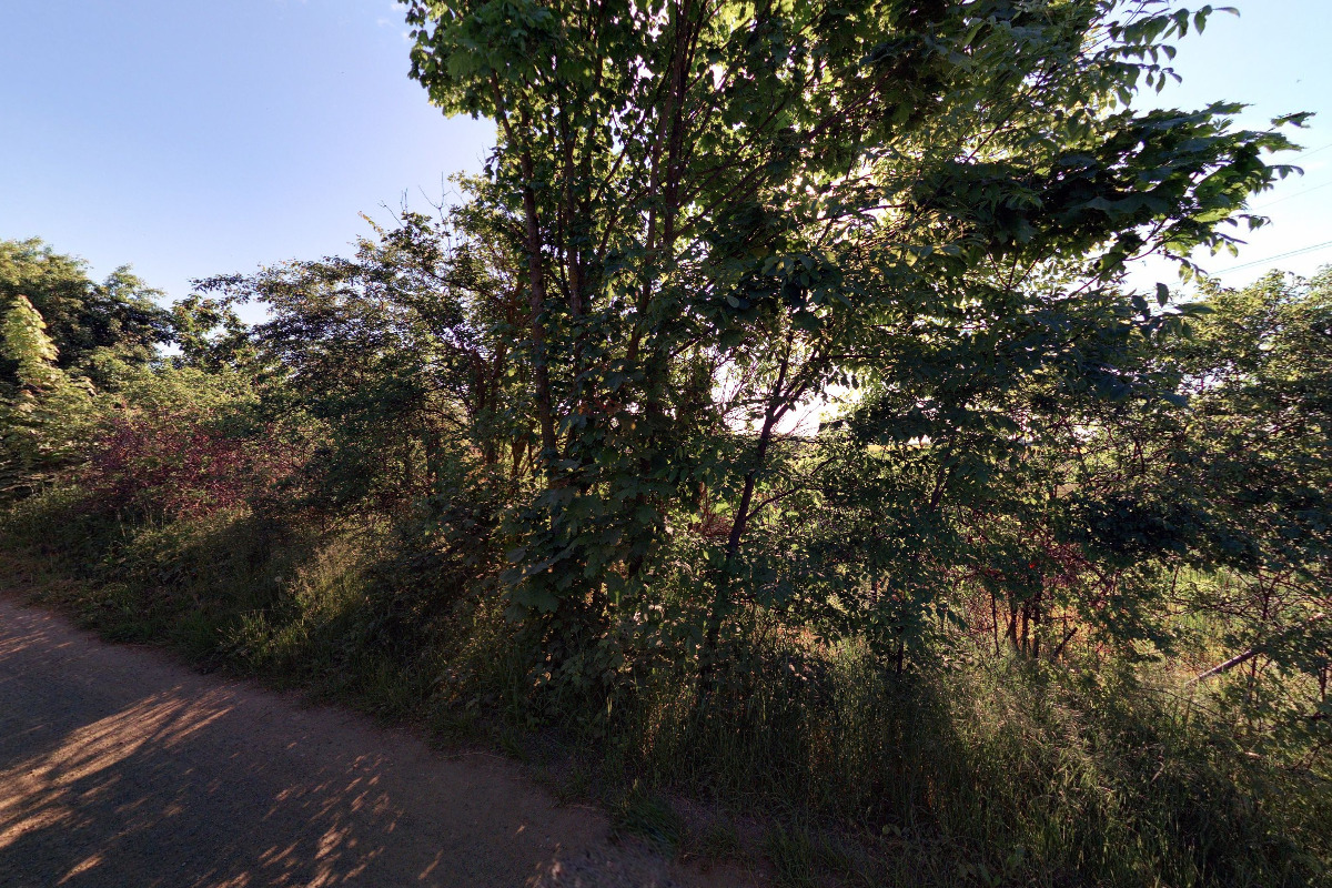 Škola pro psy Conica, s.r.o.