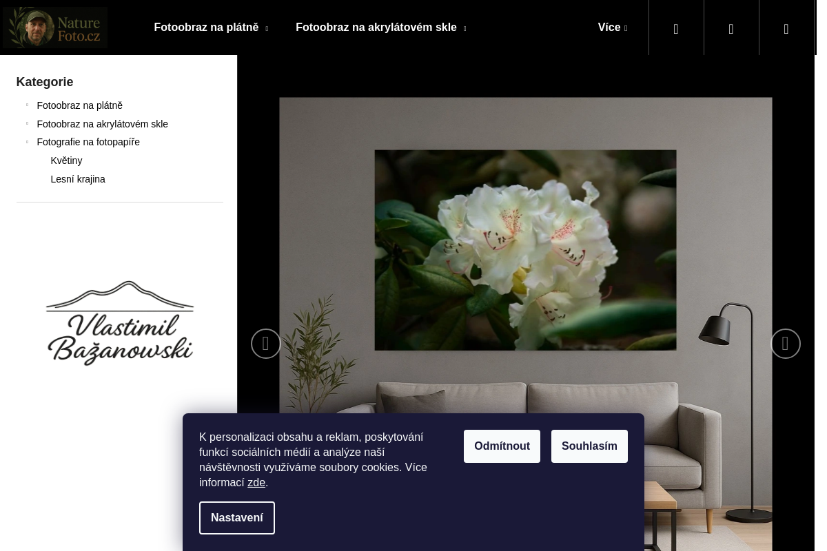NatureFoto.cz - Vlastimil Bažanowski
