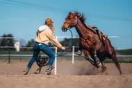 Fotografie GKhorsemanship