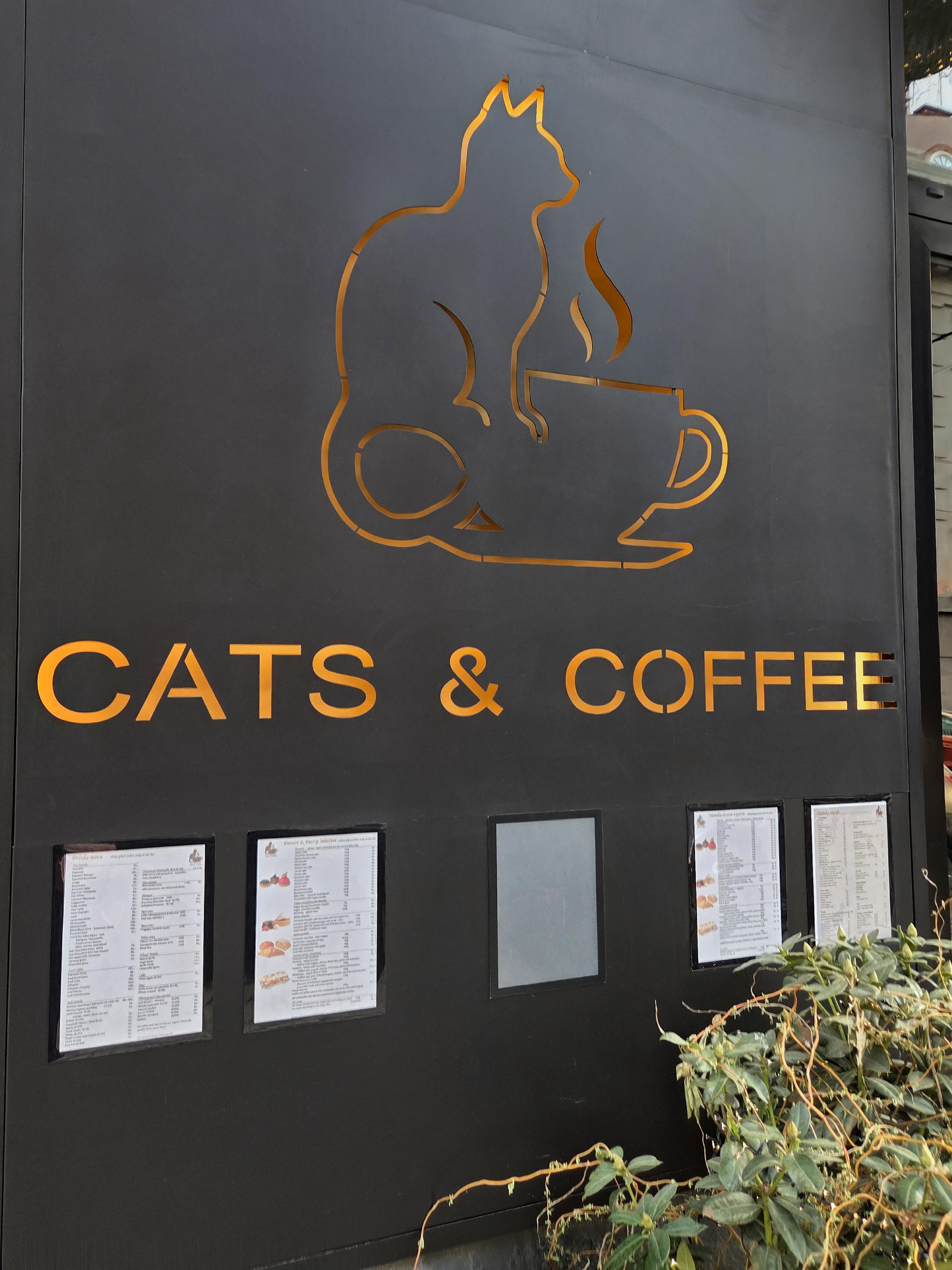 Cats & Coffee foto 5