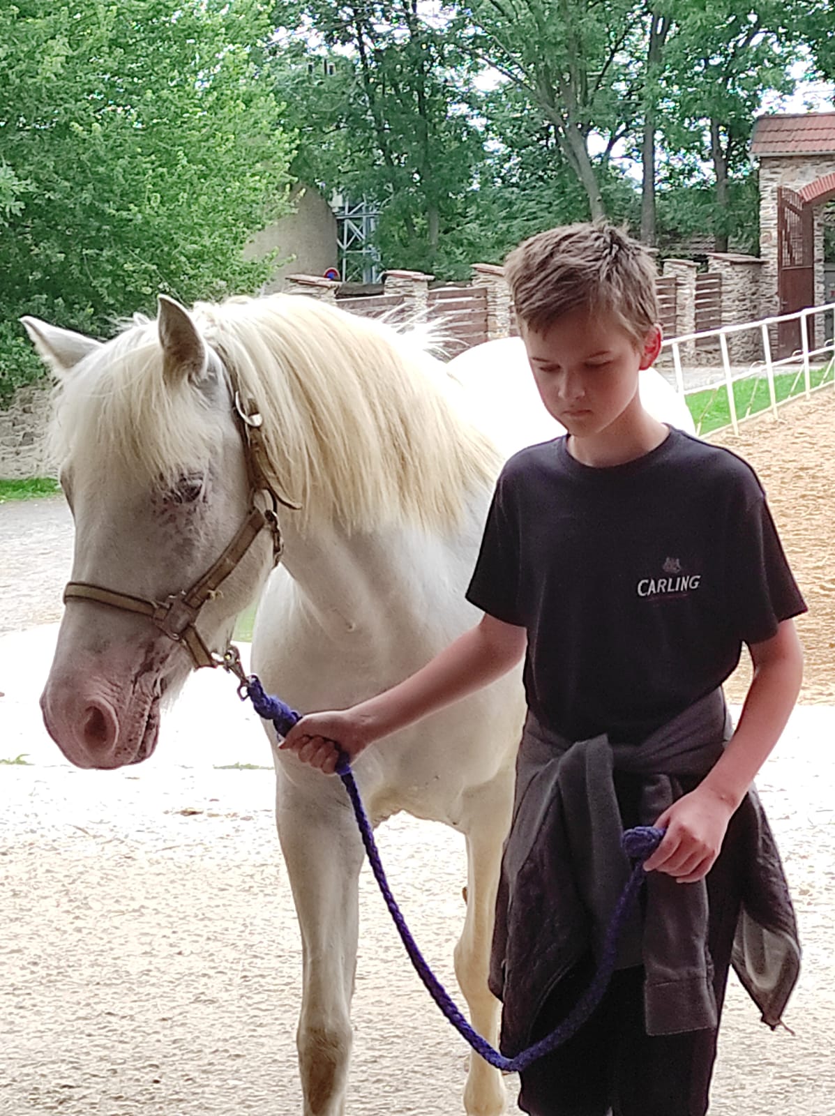 Jezdecká škola Trojanův Dvůr foto 4