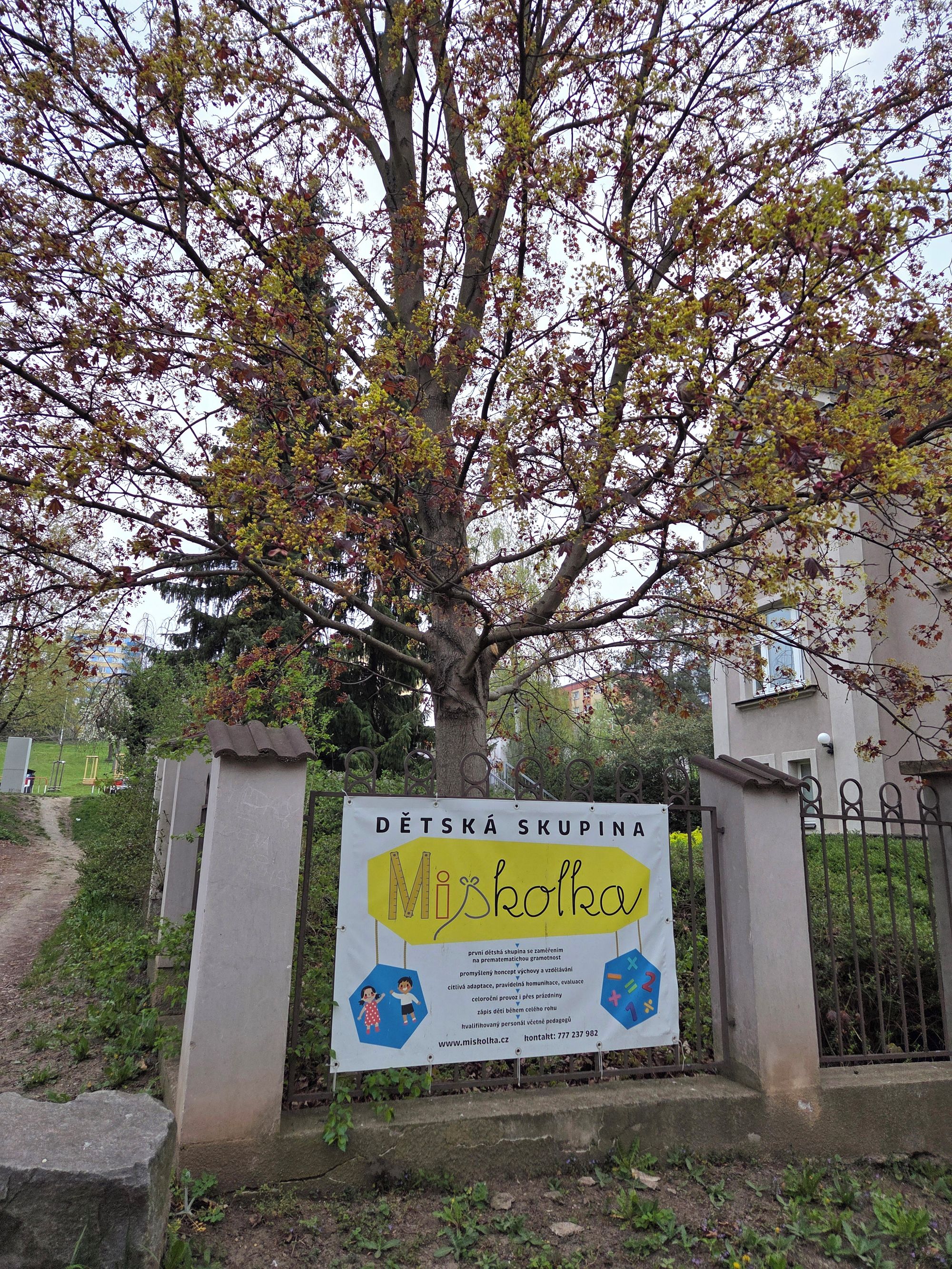 Dětská skupina Miškolka foto 2