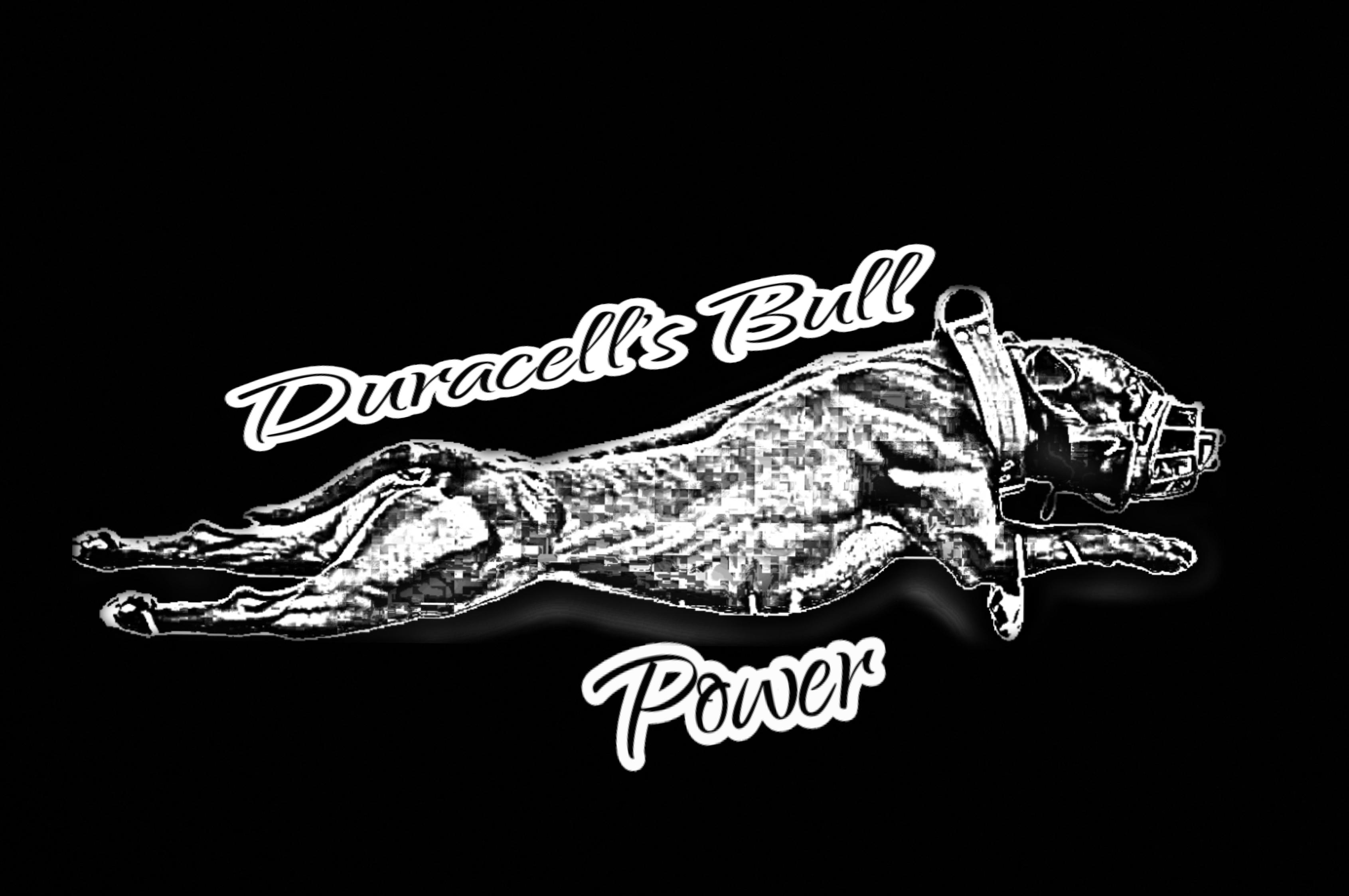 Duracell's Bull Power