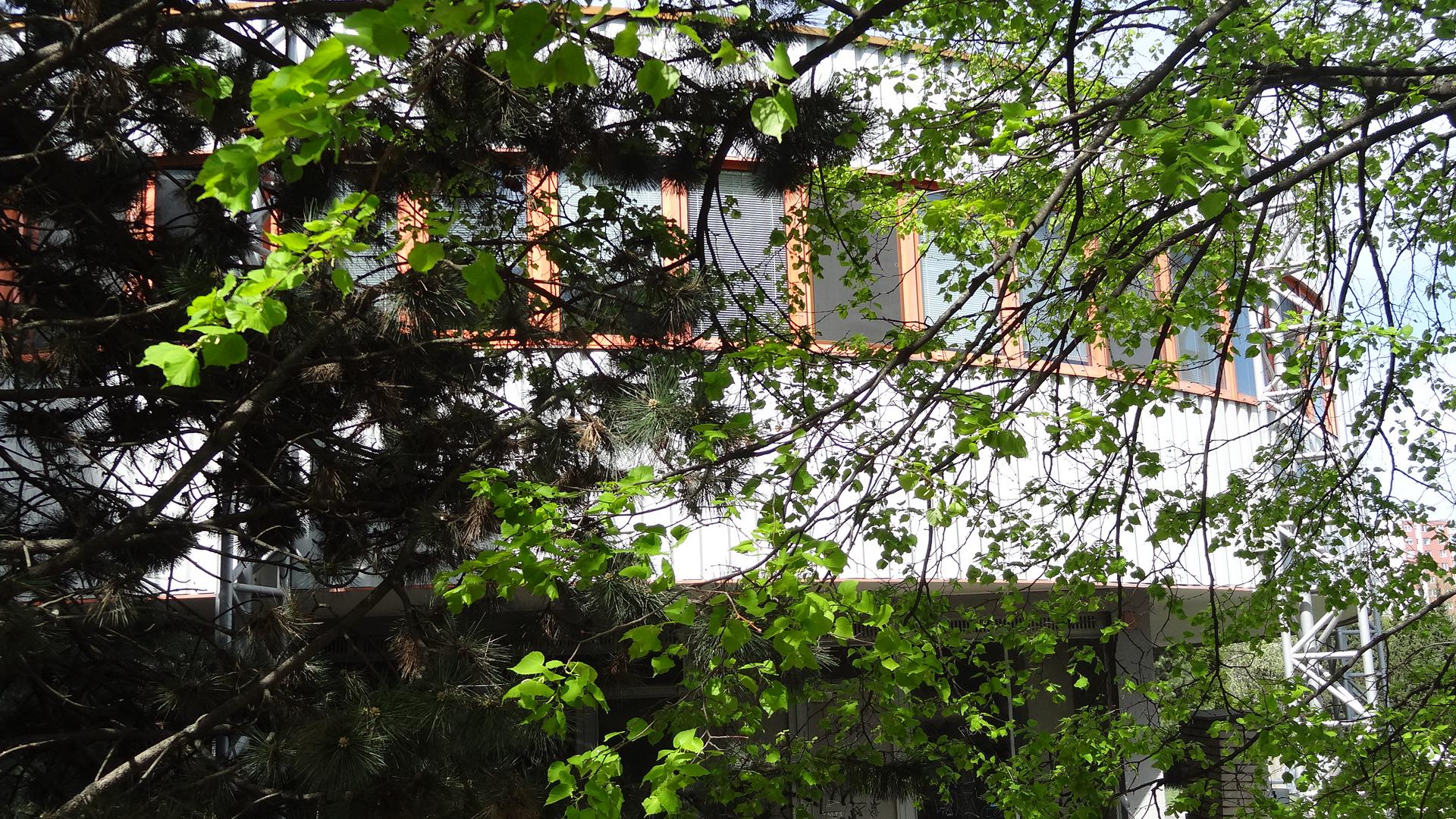 ZUŠ PhDr. Zbyňka Mrkose Brno, Čejkovická foto 5