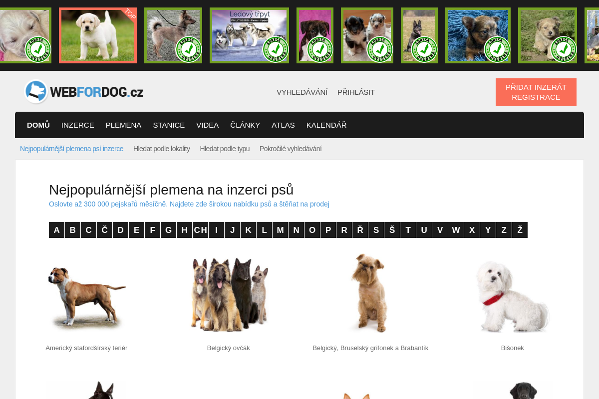 WEBFORDOG.cz