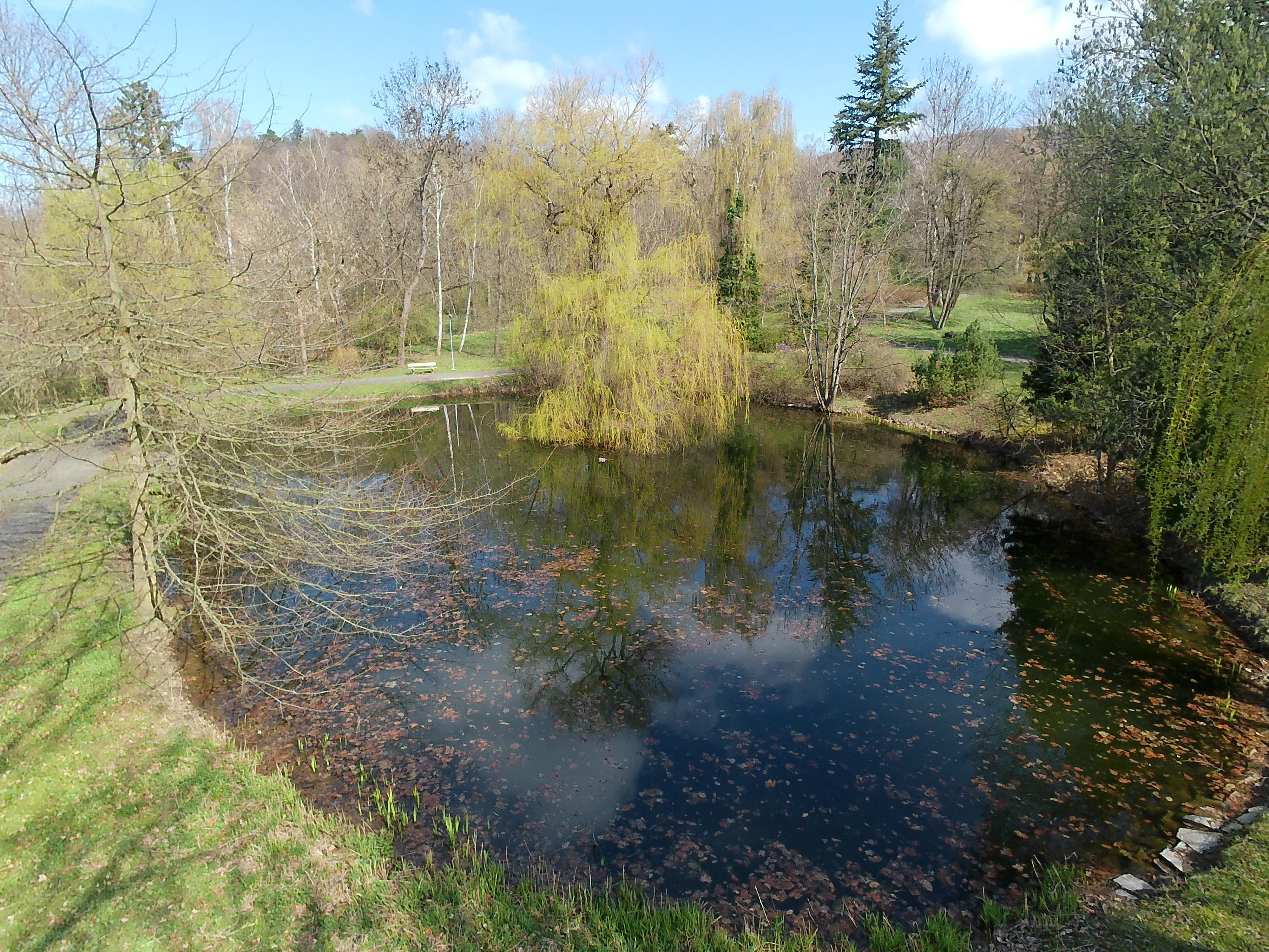 Odborný léčebný ústav Paseka foto 5
