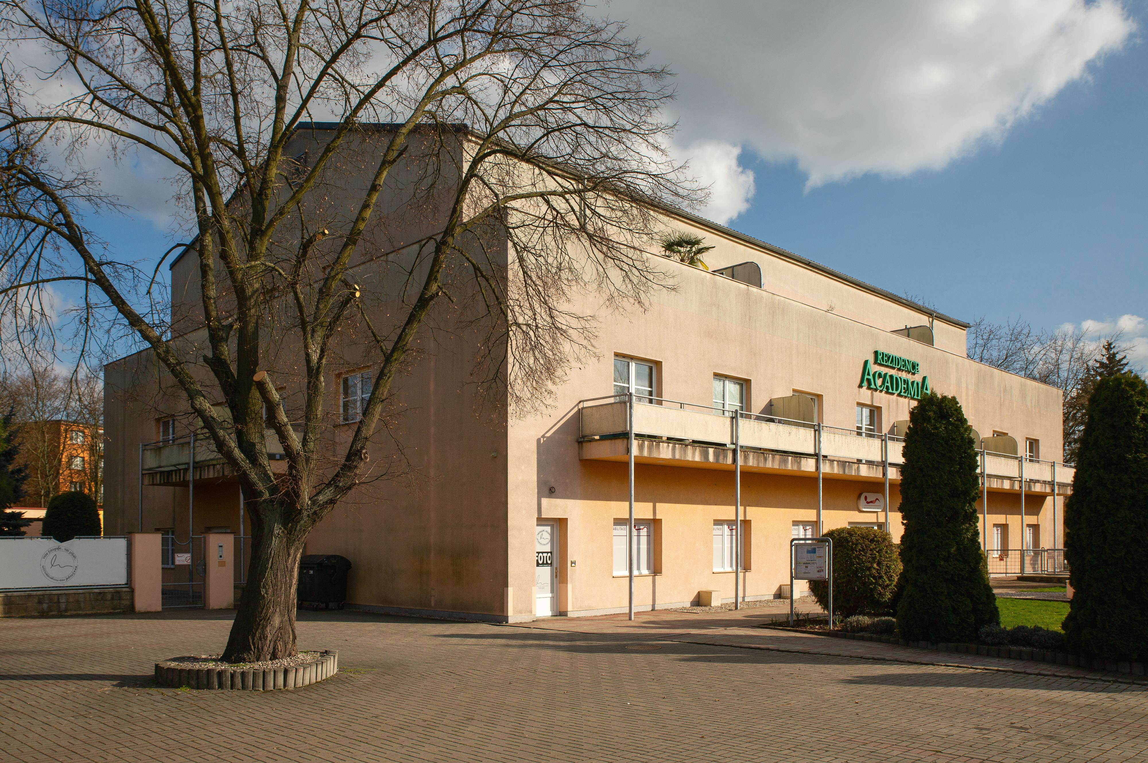 Fotograf Míra Morgenstern