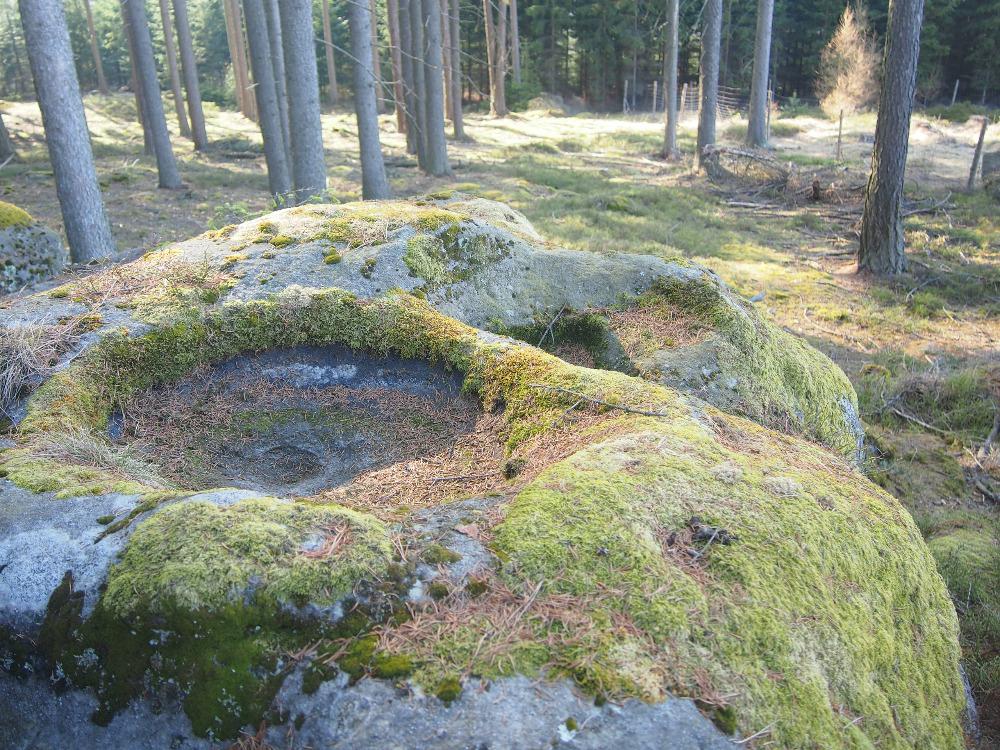 Motorest Na Výšince foto 5