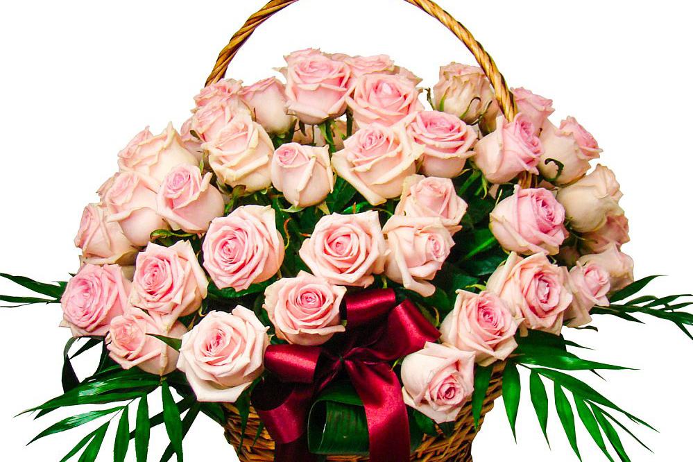 Koš plný růží