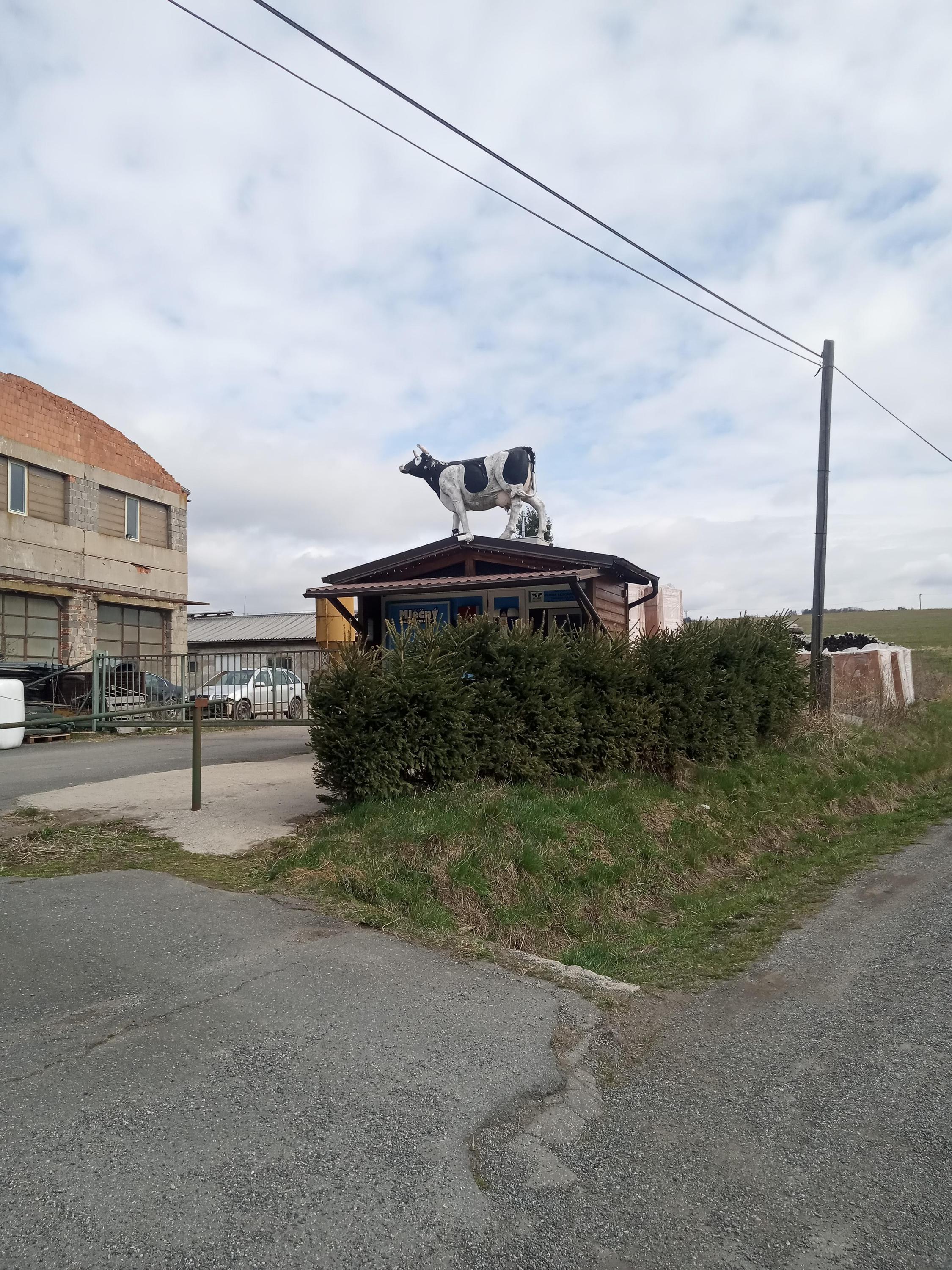 Prodej mléka František Hájek foto 3