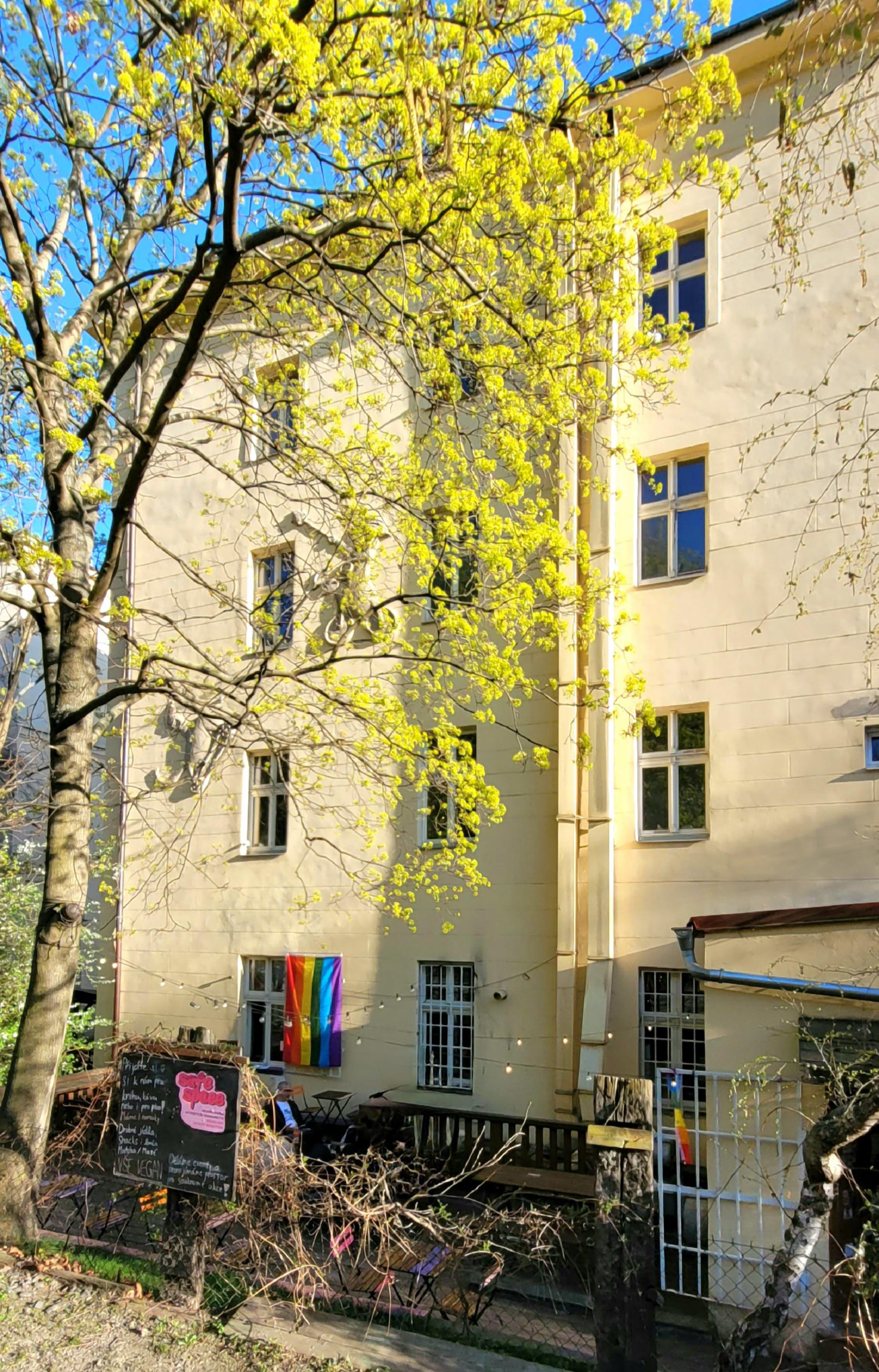 Safe space bookstore foto 5