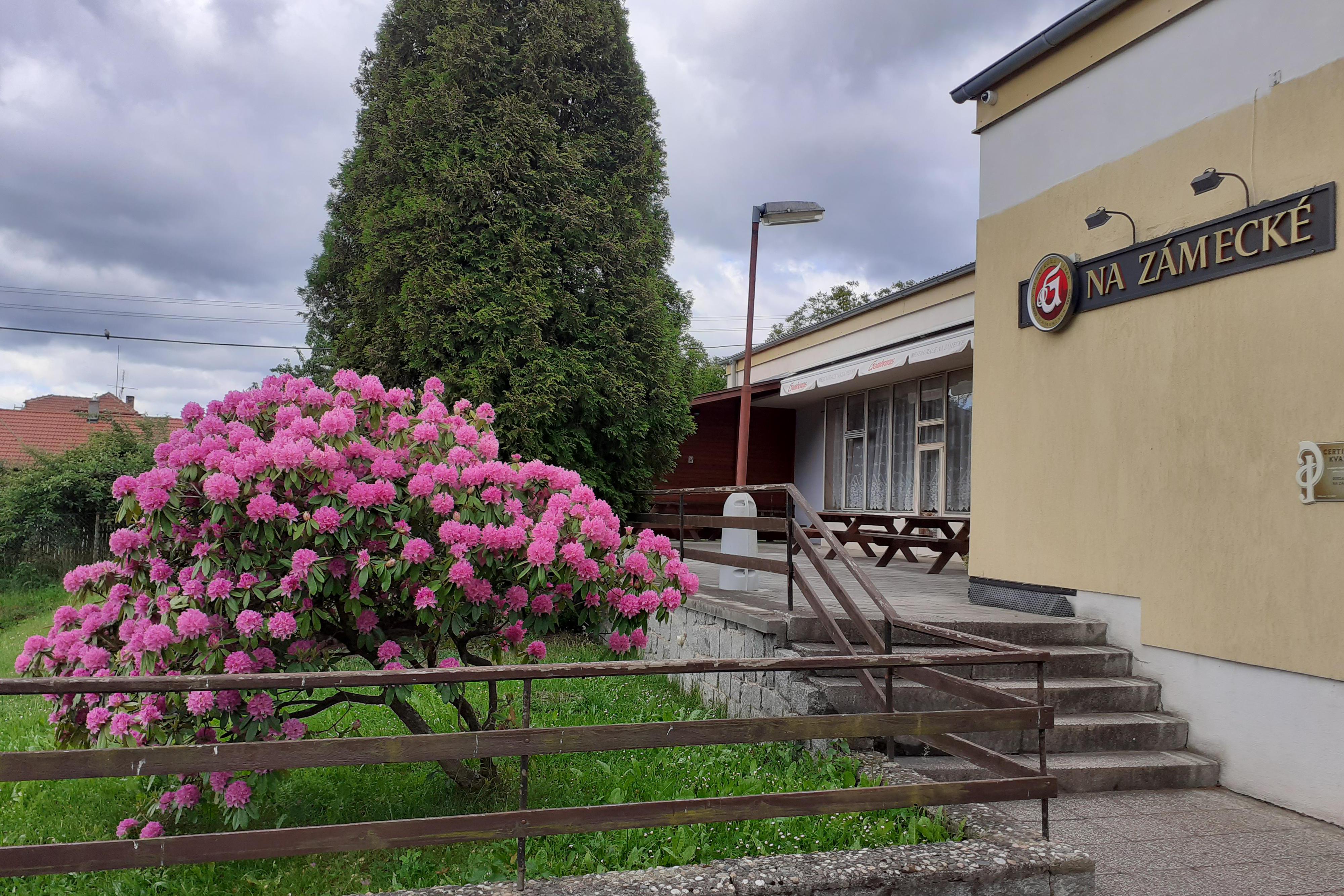 Restaurace Na Zámecké